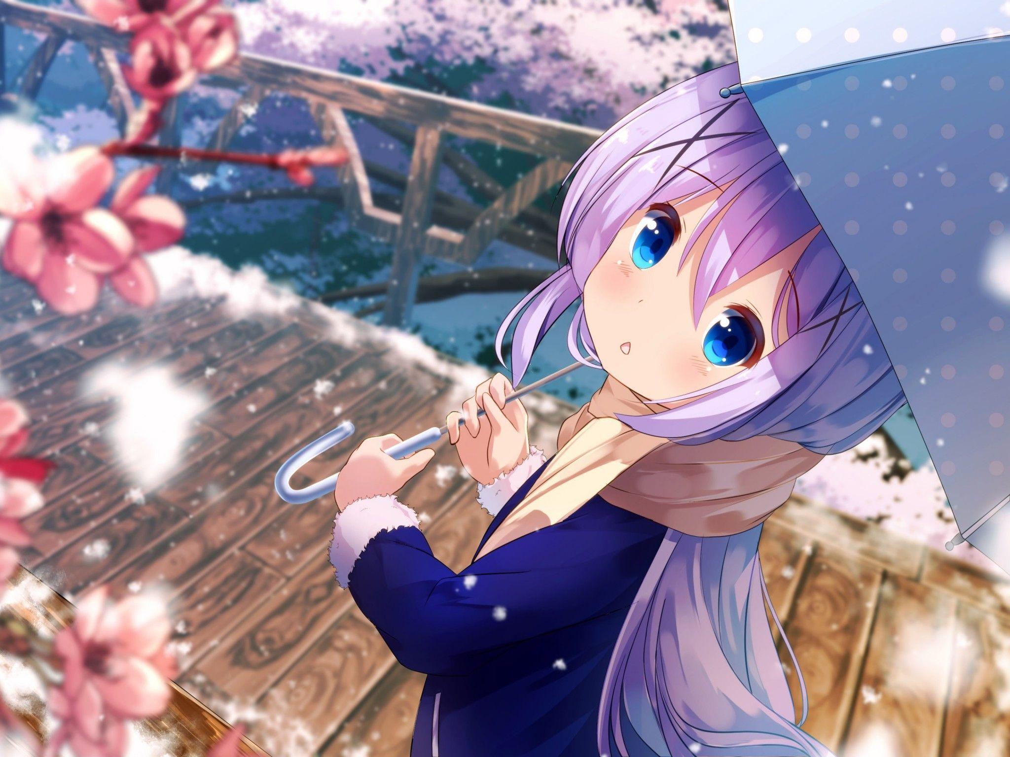 2048x1536 Is The Order A Rabbit? Wallpaper