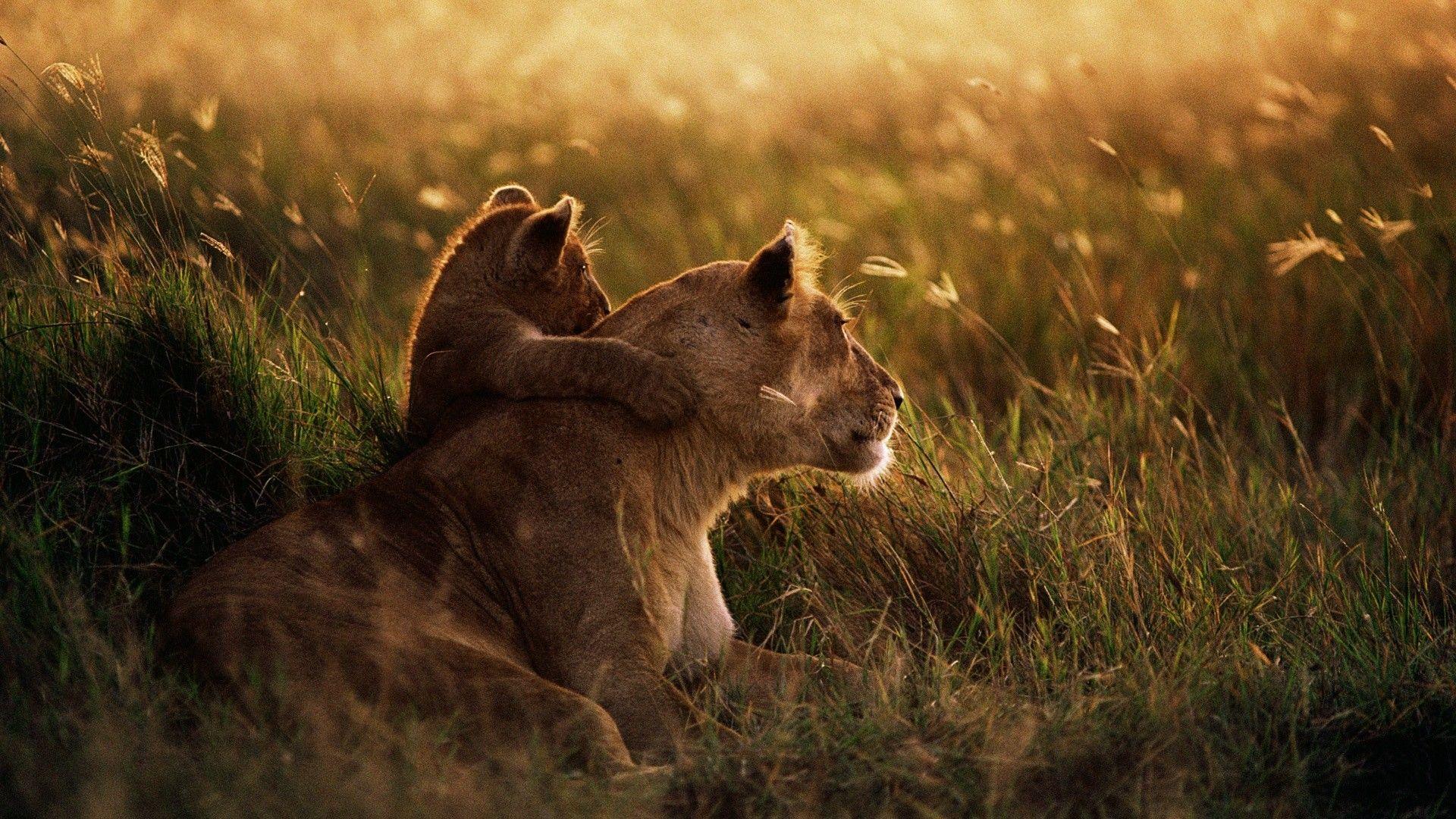 1920x1080 African Art Wallpaper background picture