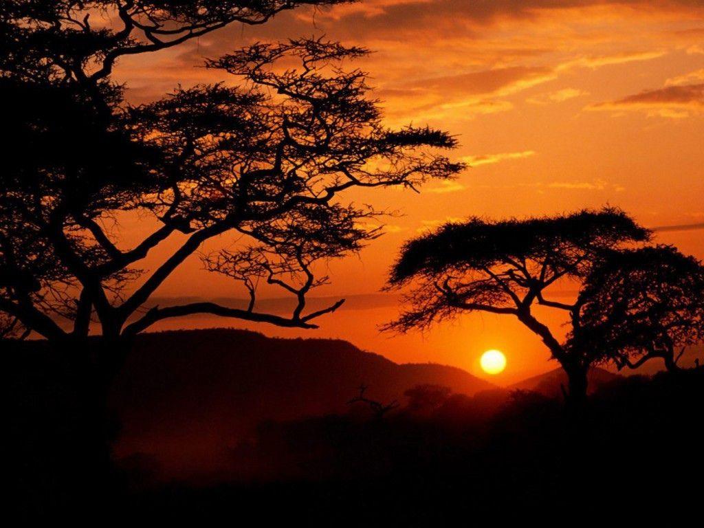 1024x768 African Art Desktop Wallpaper .