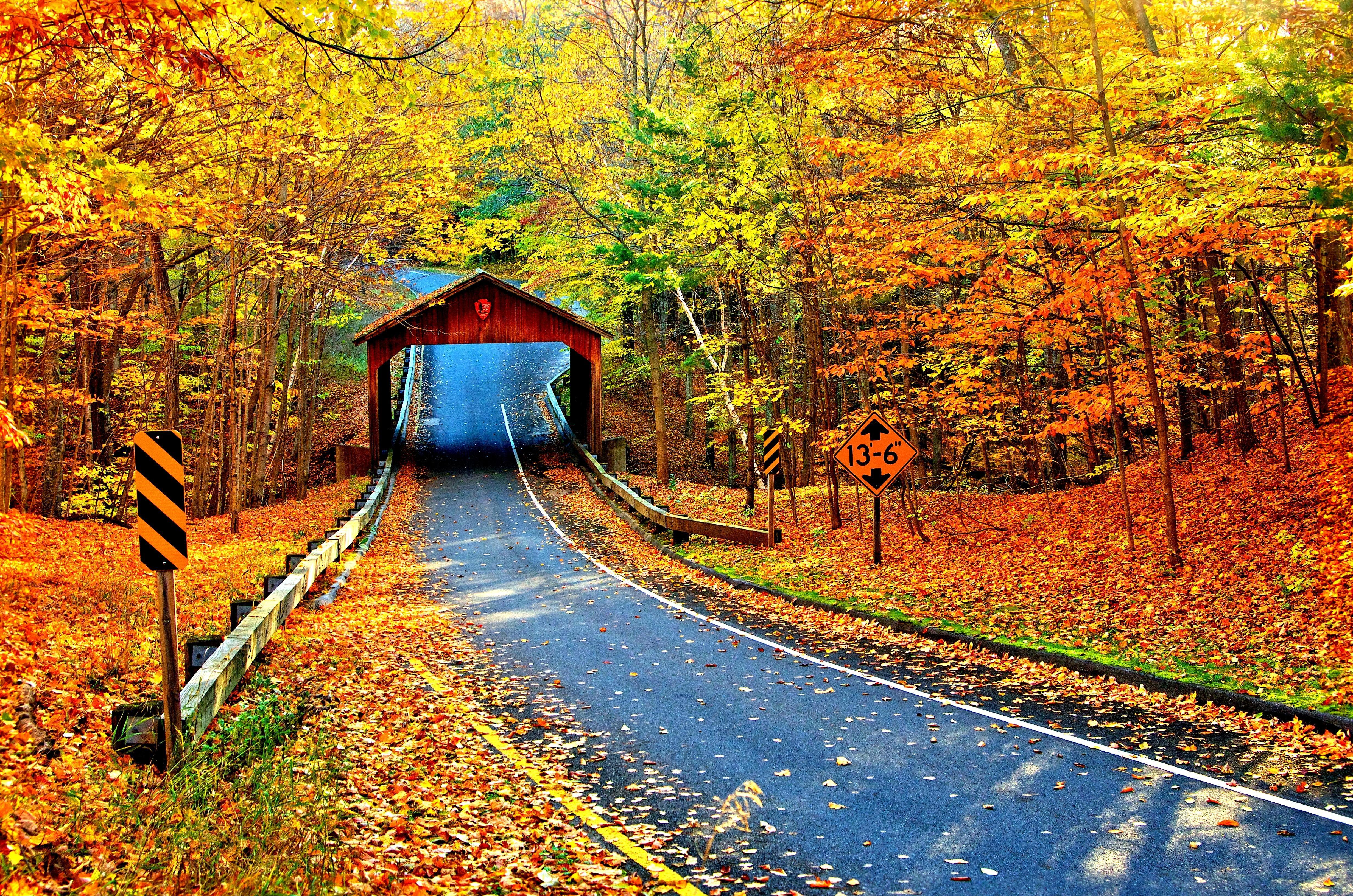 4928x3264 Covered Bridge In Autumn Wallpaper