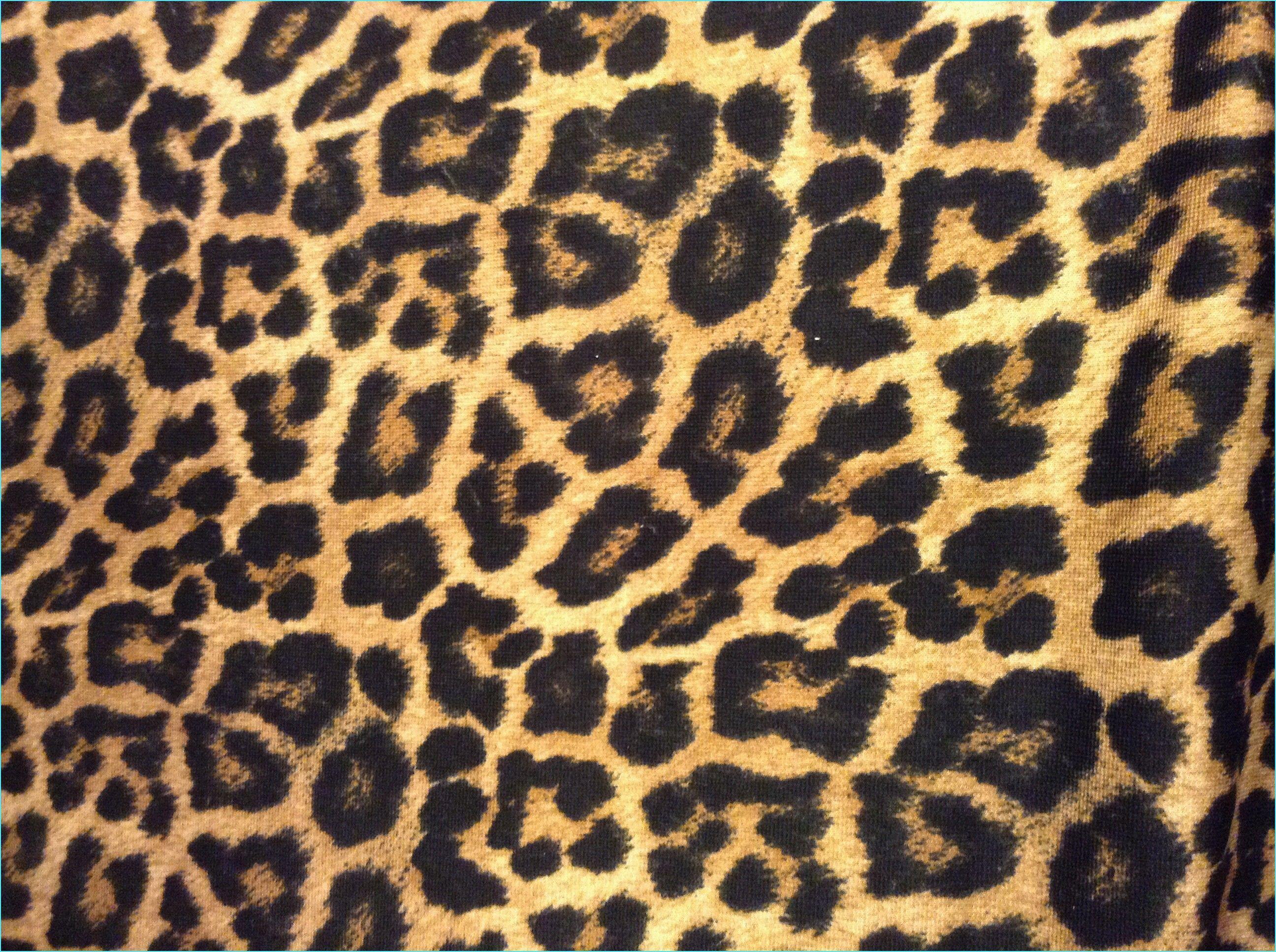 2592x1936 Picture of Cheetah Print Wallpaper background picture