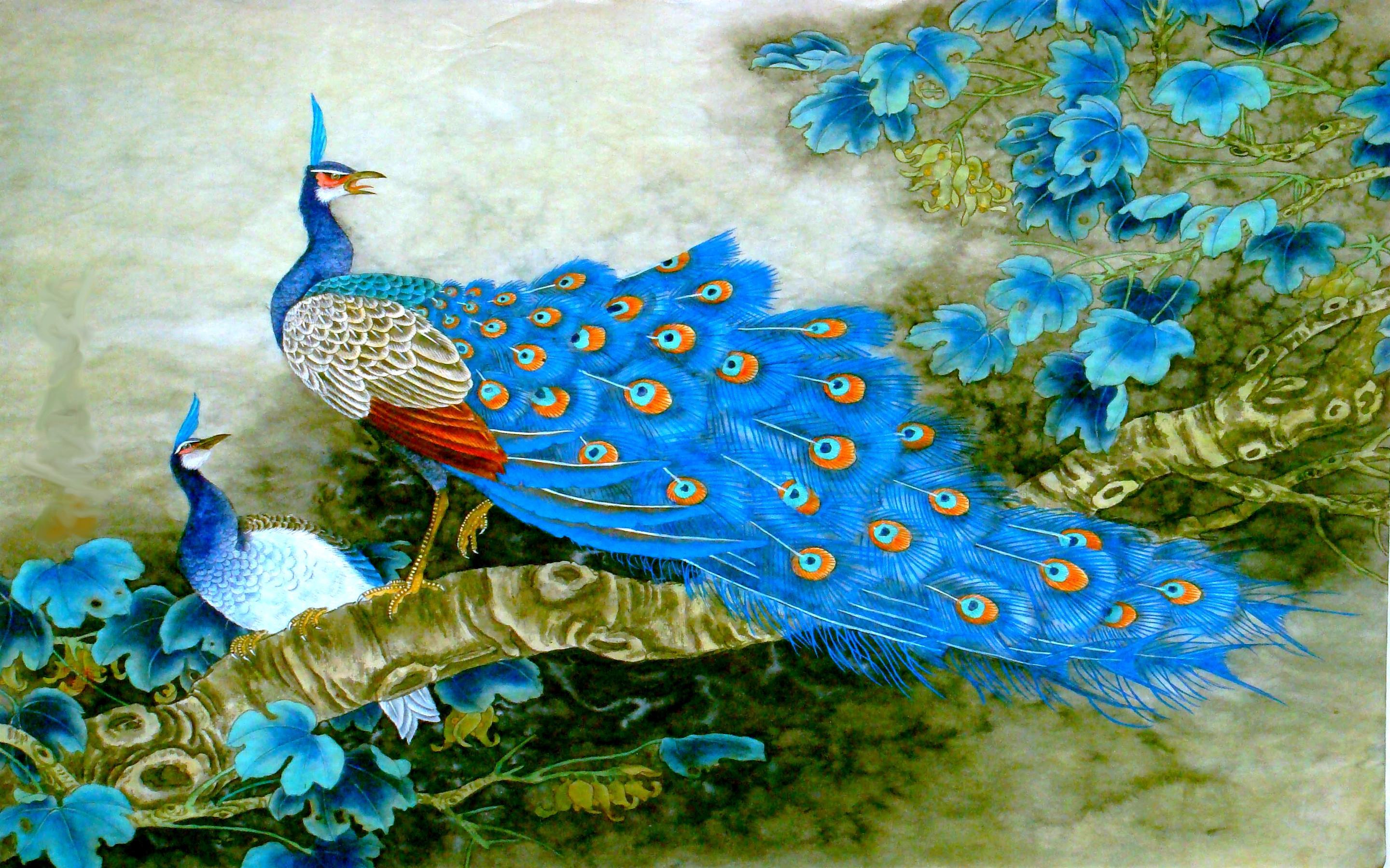 2880x1800 Desktop HD peacock bird wallpaper