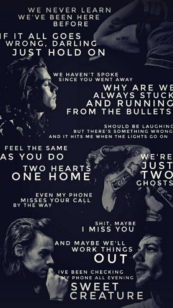 720x1280 Larry Stylinson wallpaper
