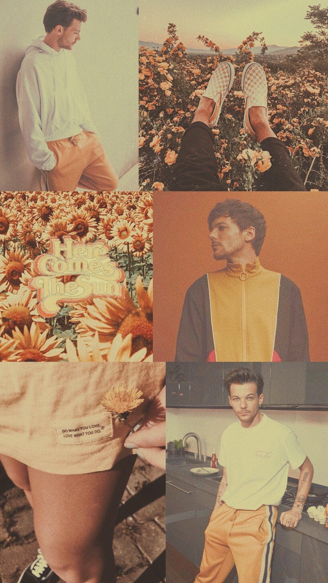 1152x2048 Harry Styles and Louis Tomlinson Wallpaper .