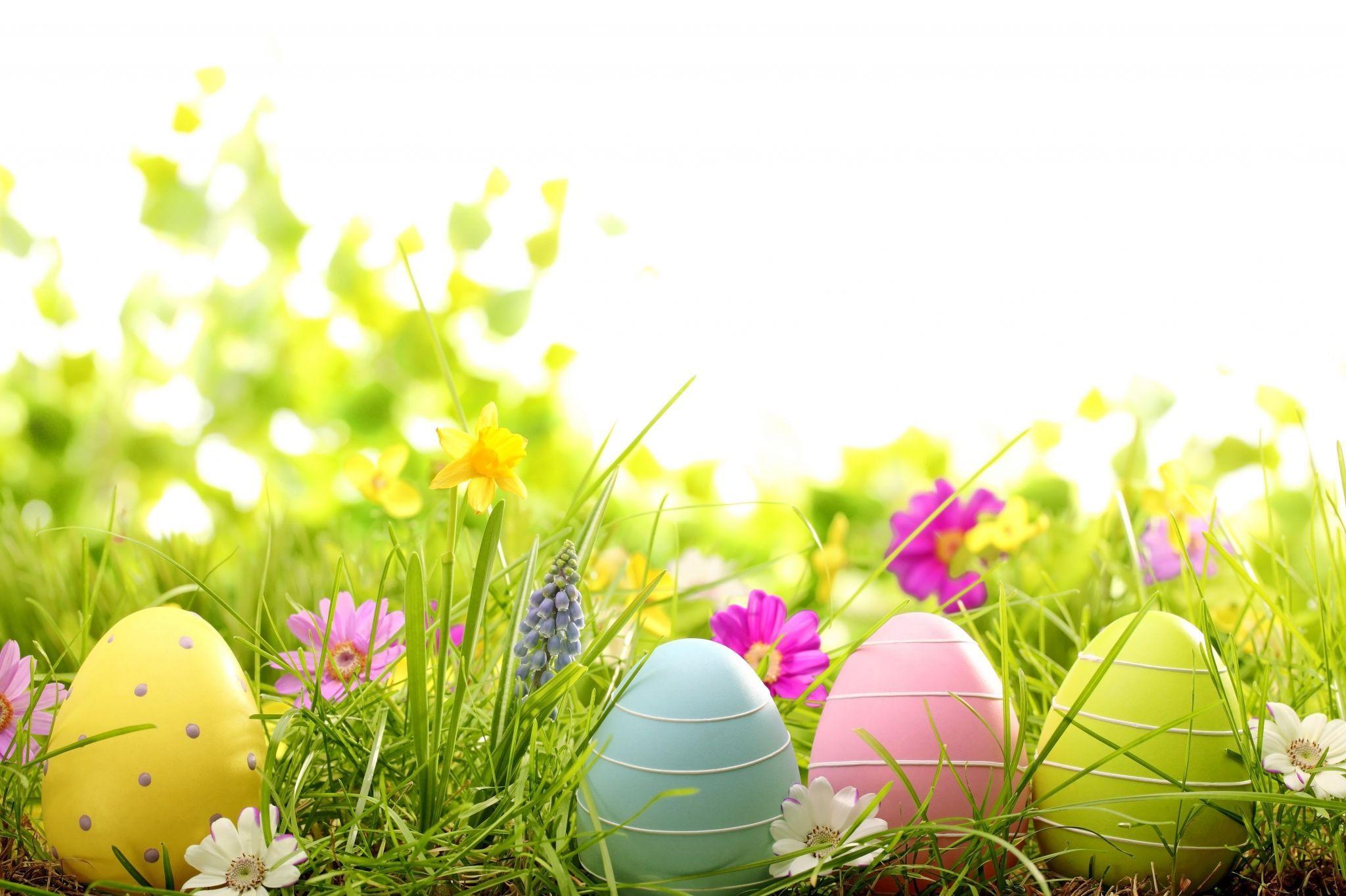 Spring Easter Wallpapers - Top Free Spring Easter Backgrounds
