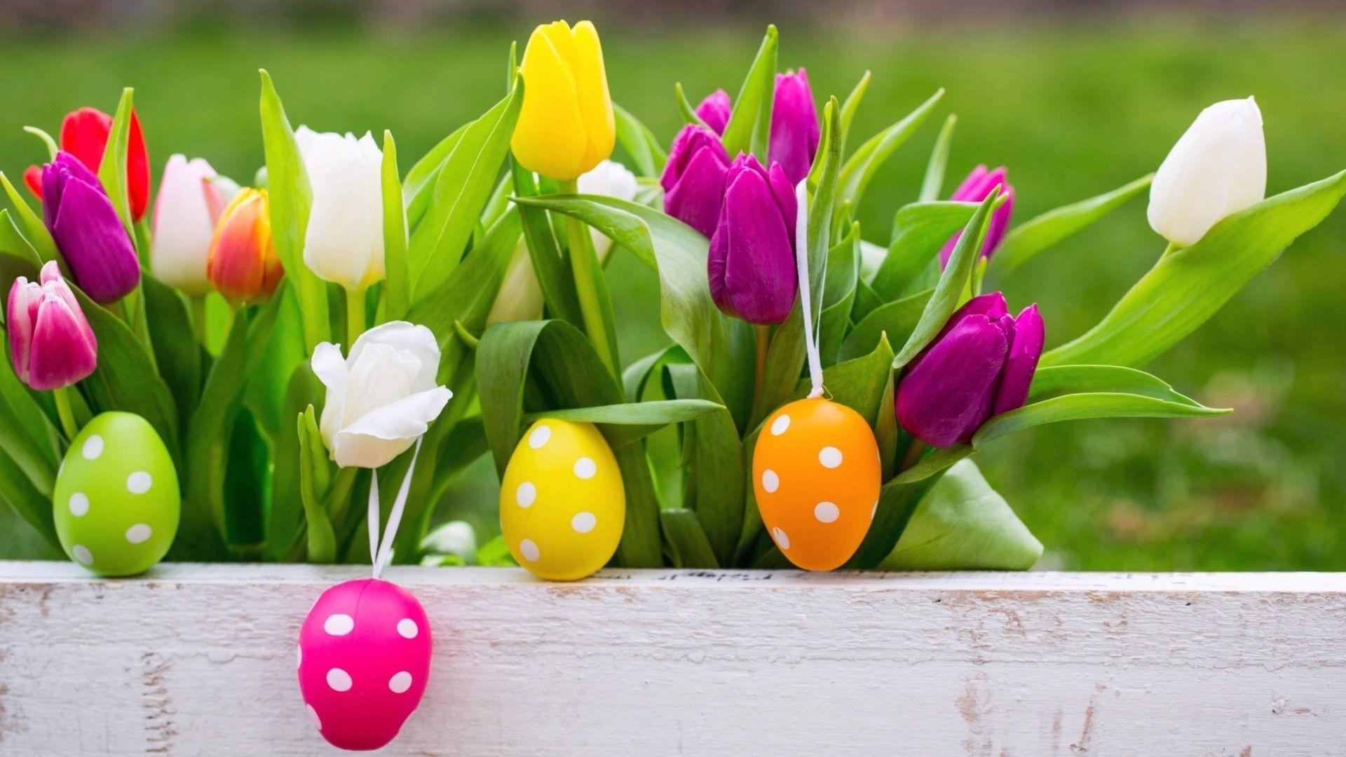 1920x1080 Easter Eggs With Beautiful Background and Greetings. Easter wallpaper, Happy easter wallpaper, Easter image