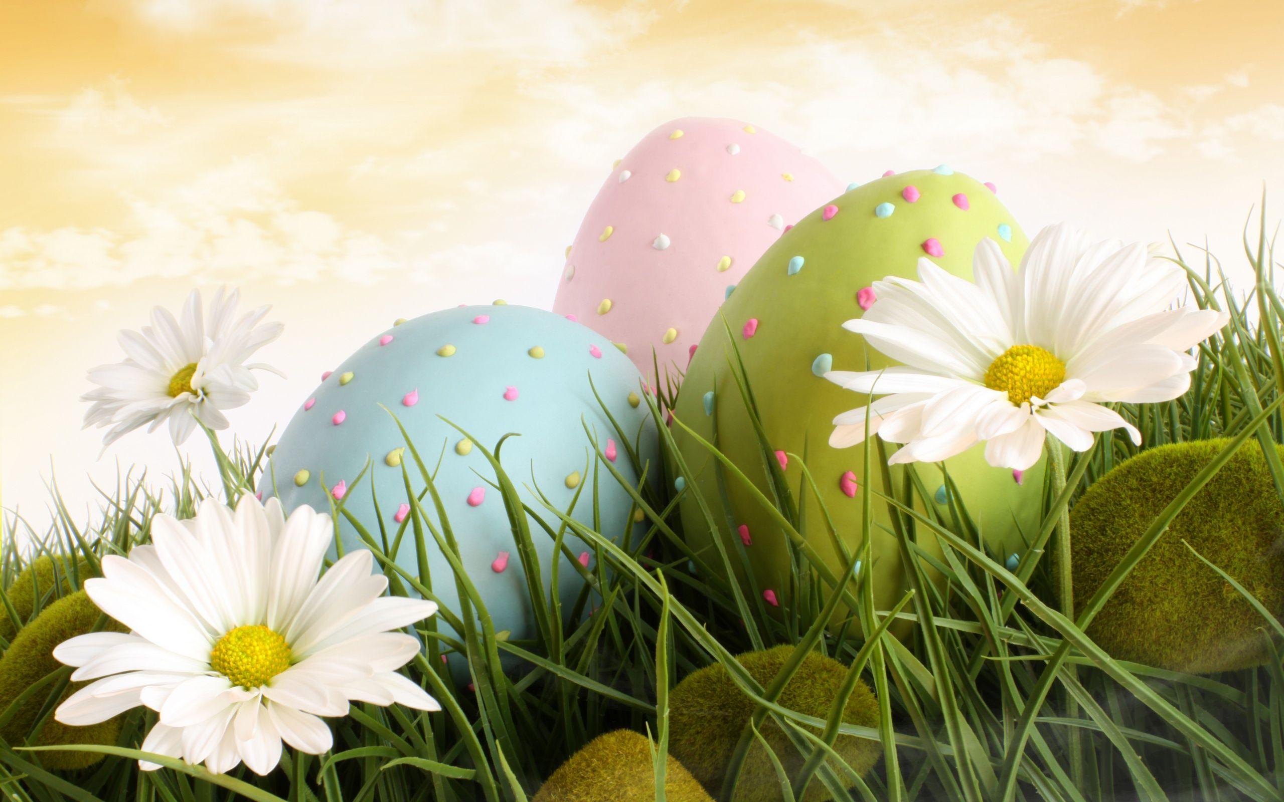 2560x1600 Easter Desktop Wallpaper