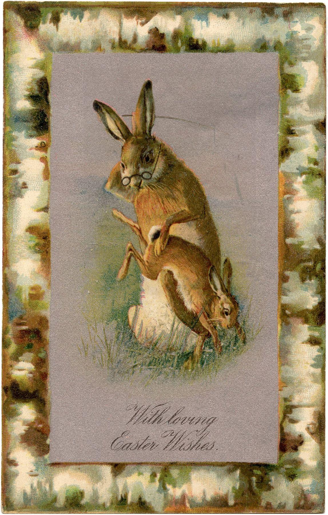 1147x1800 Easter Bunny Image Free! Graphics Fairy