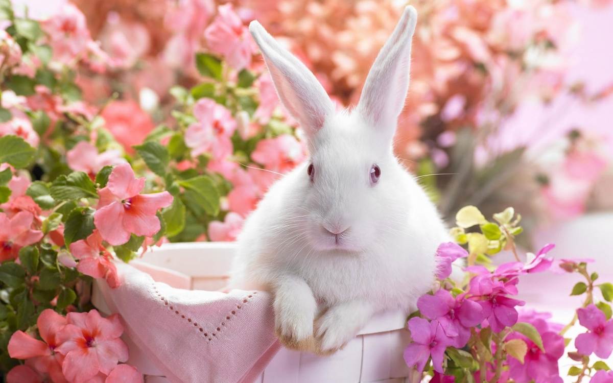1200x750 Easter wallpaper a festive mood at your work space