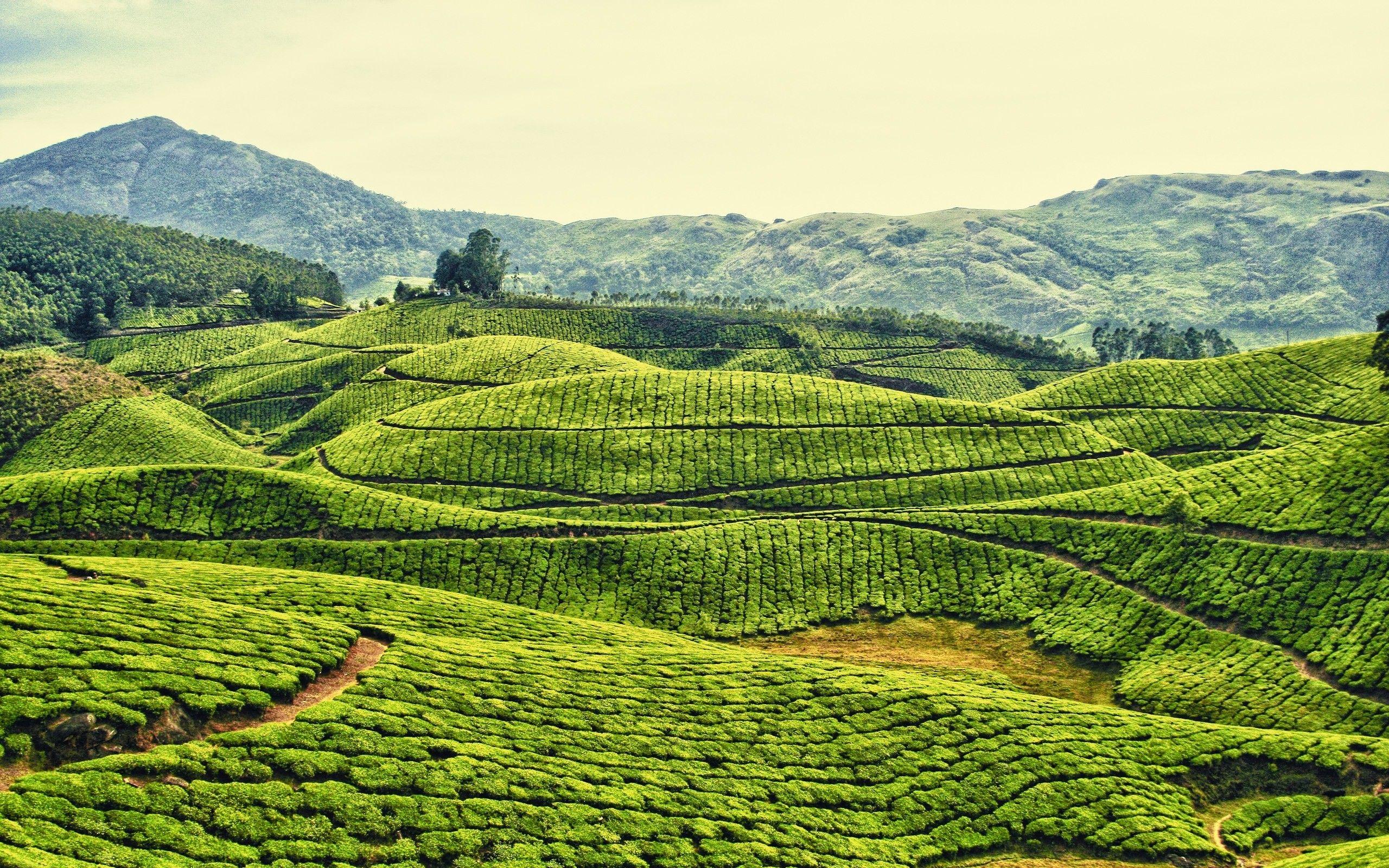 2560x1600 Daily Wallpaper: Kodaikanal, India. I Like To Waste My Time