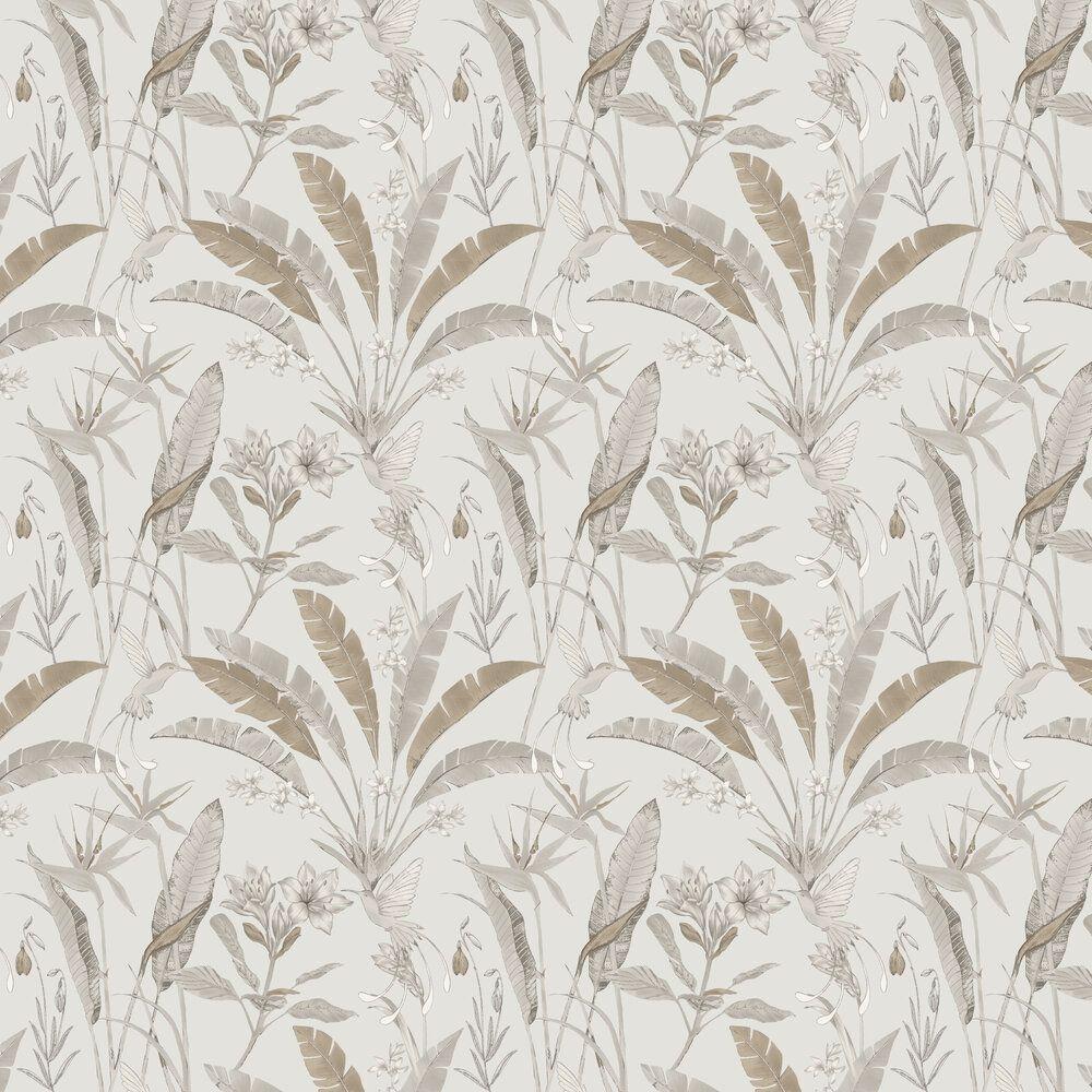 Neutral Floral Wallpapers Top Free Neutral Floral Backgrounds