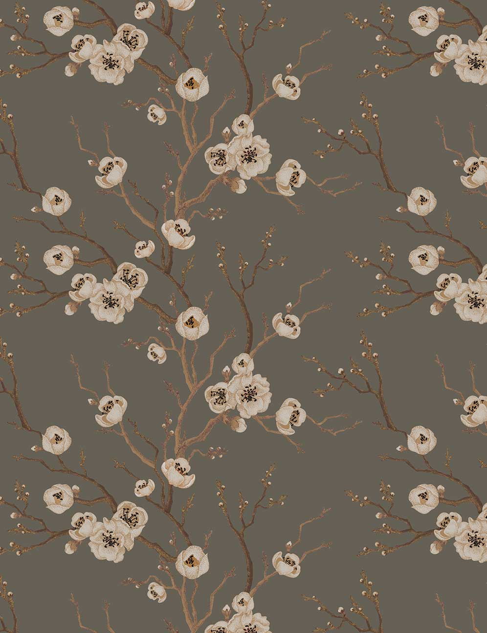 Neutral Floral Wallpapers - Top Free Neutral Floral Backgrounds - WallpaperAccess