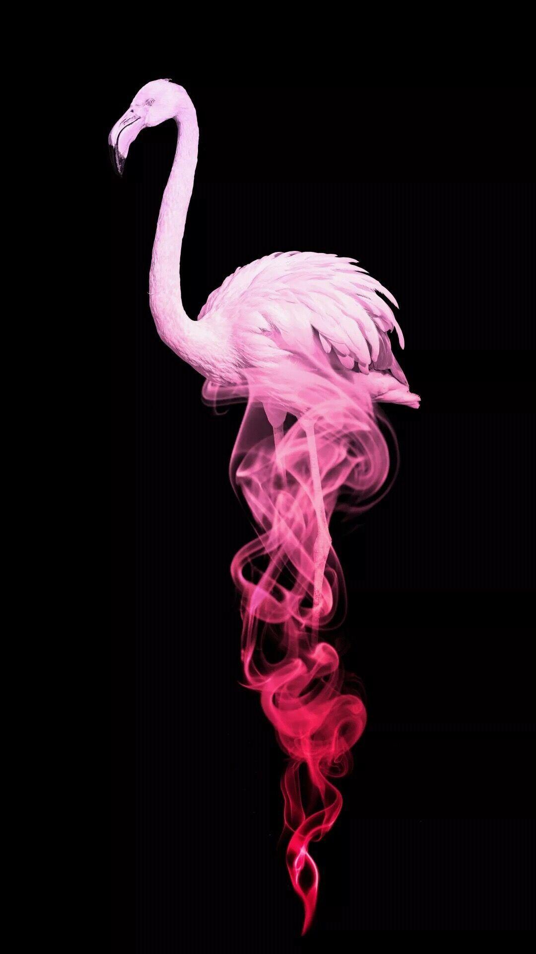 1080x1920 FLAMINGO JUNK. Flamingo wallpaper, Flamingo, Cute background