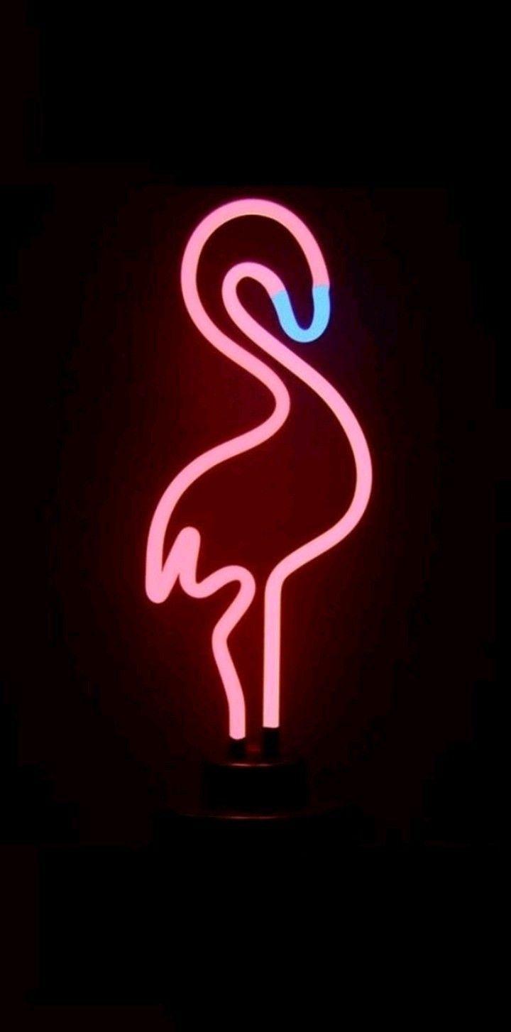 720x1454 wallpaper. Neon wallpaper, iPhone wallpaper, iPhone wallpaper