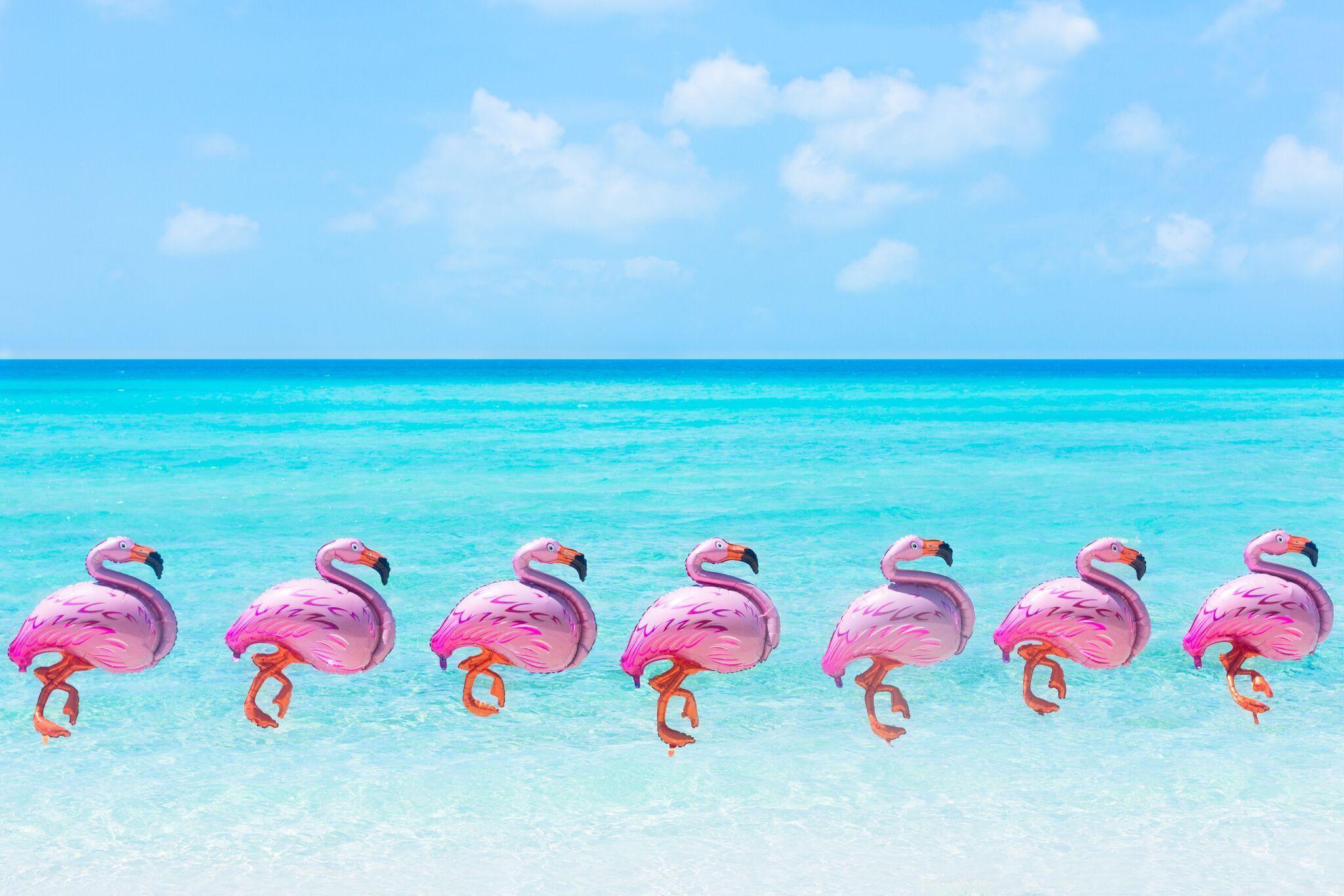 2048x1365 On Repeat: Summer Is So Hot Right now. Flamingo balloons, Gray malin, Gray malin photography