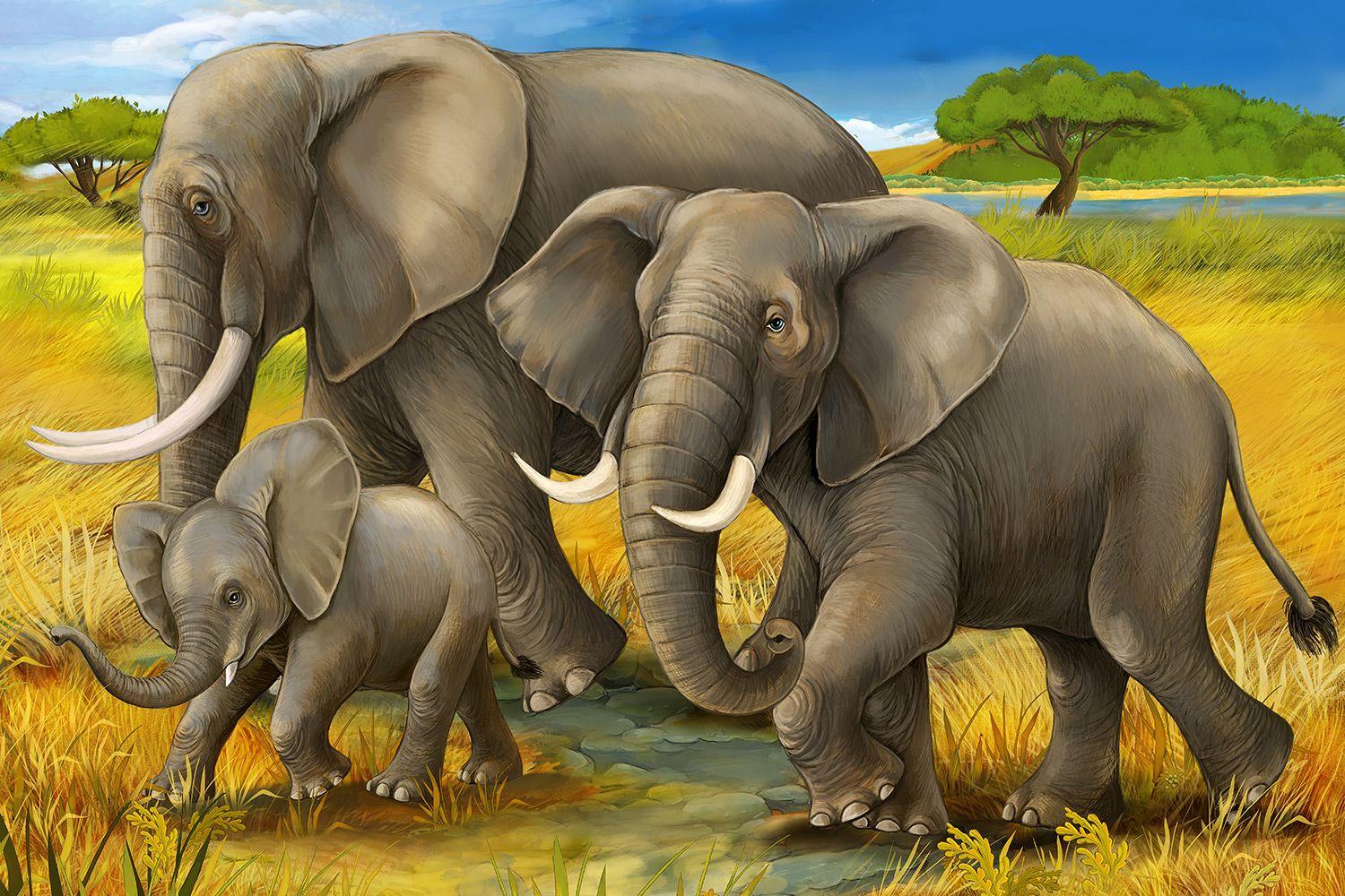 1500x1000 Elephant Family. Print A Wallpaper