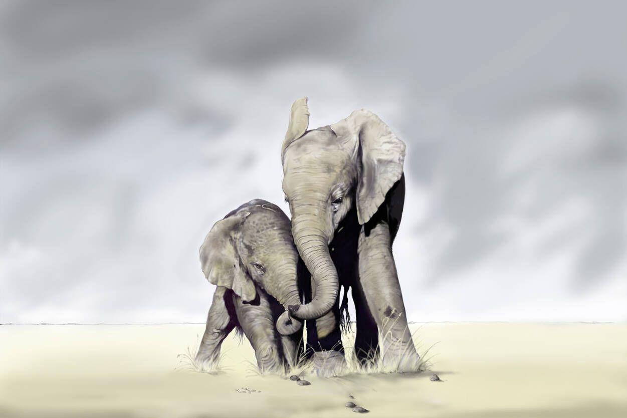 1251x834 Livingwalls Photo wallpaper «Elephant Family» 470317