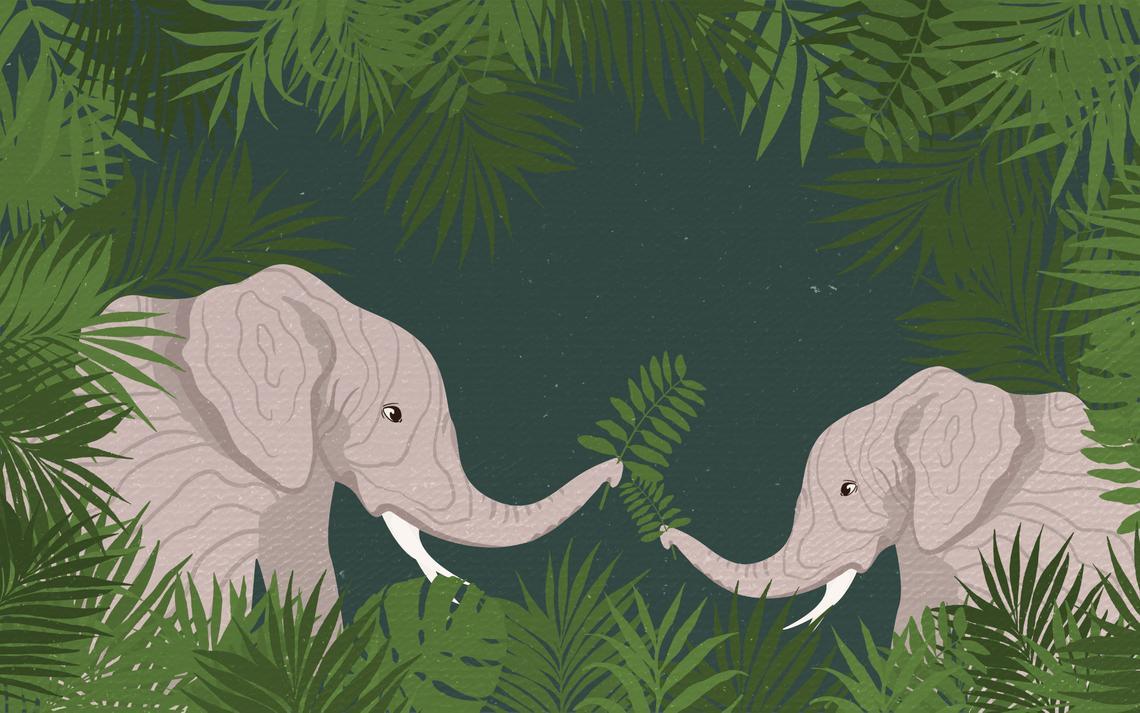 1140x713 Tropical Kids Wallpaper Lovely Elephant Family Nursery Trendy Forest