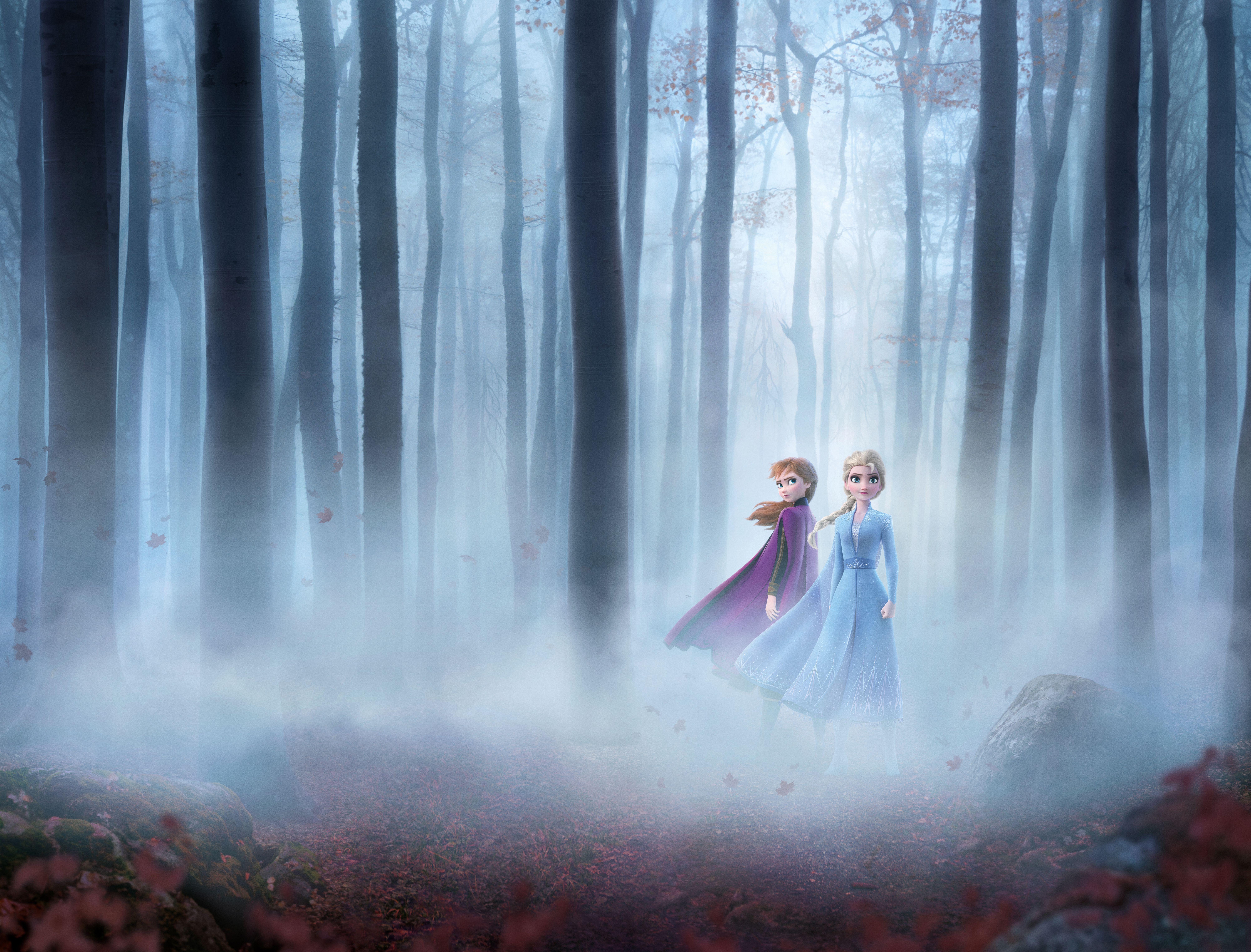 8012x6096 Frozen 2 8k, HD Movies, 4k Wallpaper, Image, Background, Photo and Picture