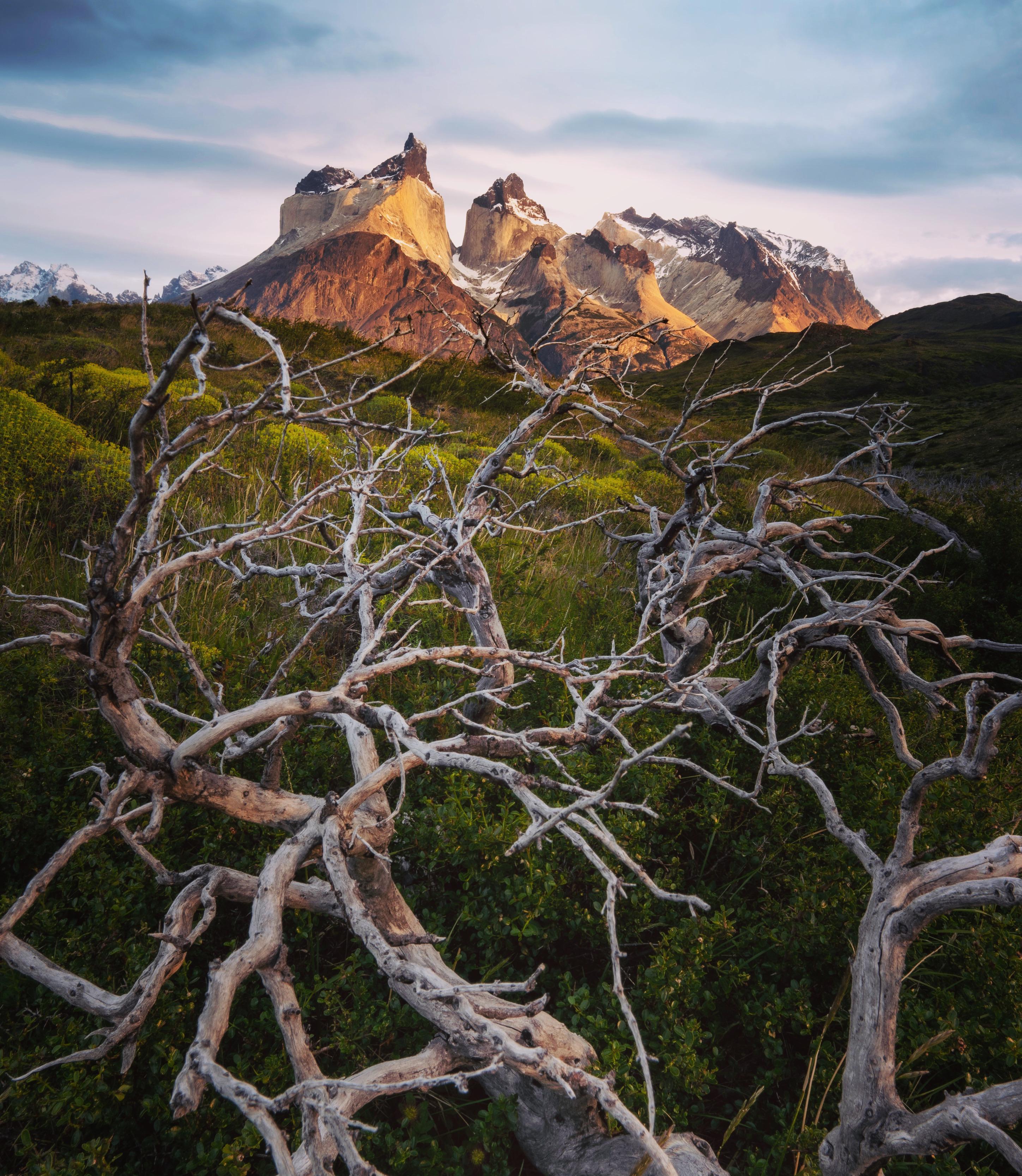 2897x3335 Patagonia 4K wallpaper for your desktop or mobile screen free and easy to download