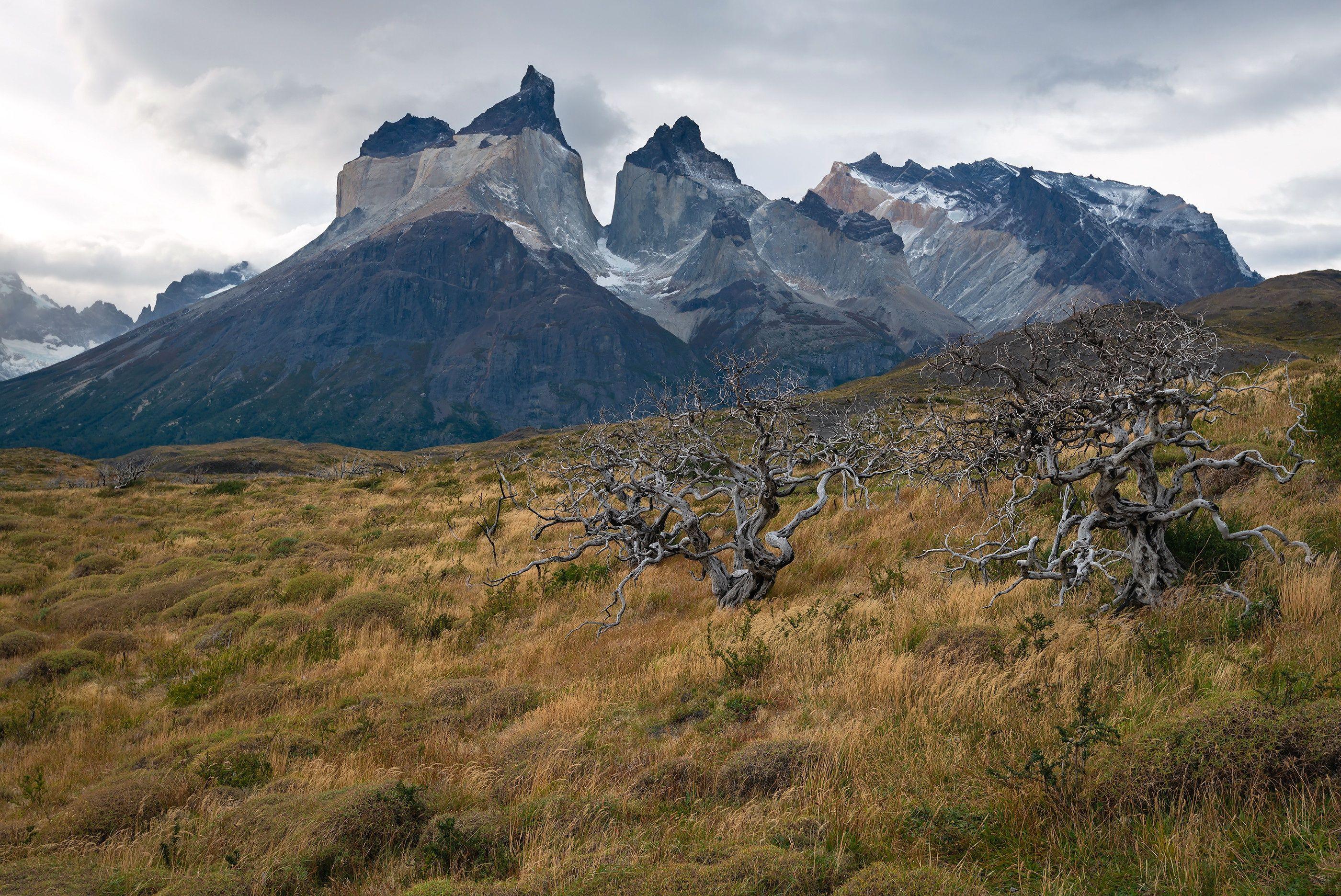 2800x1871 Chile Patagonia Torres Del Paine National Park Wallpaper:2800x1871