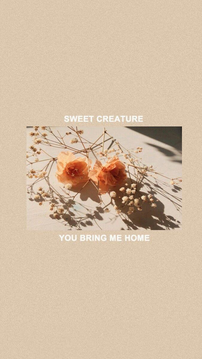 675x1200 one direction lyrics lockscreen