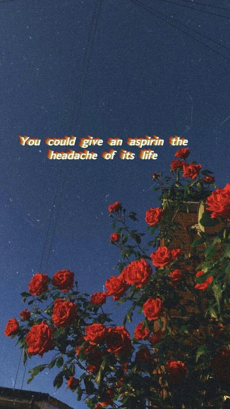 736x1307 Sad Aesthetic Lyrics Wallpaper