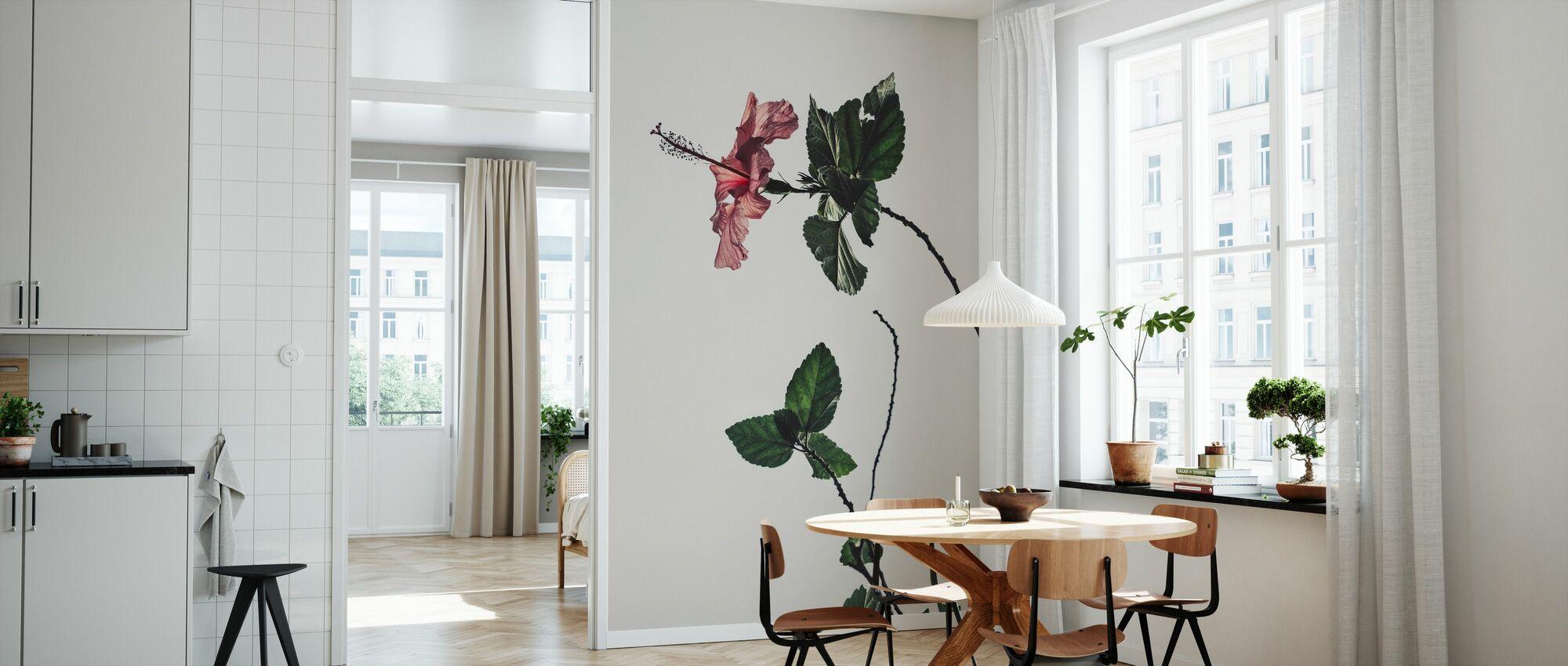 Home Aesthetic Wallpaper