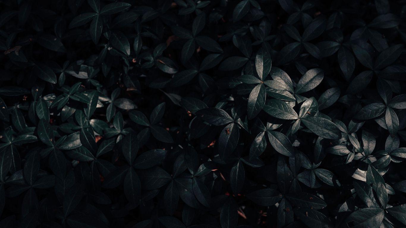 1366x768 Dark Laptop Wallpaper