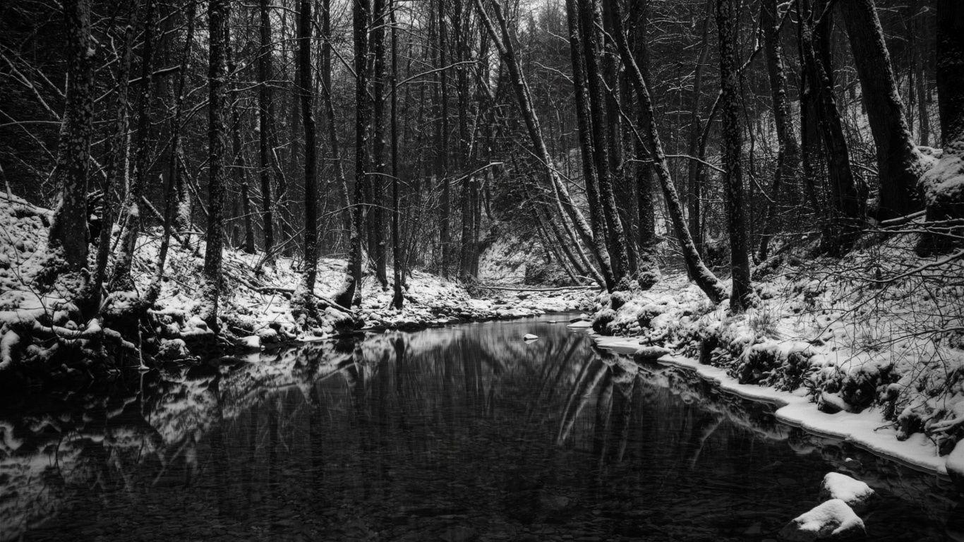 1366x768 Winter in black and white. Winter wallpaper, Winter landscape, Dark wallpaper
