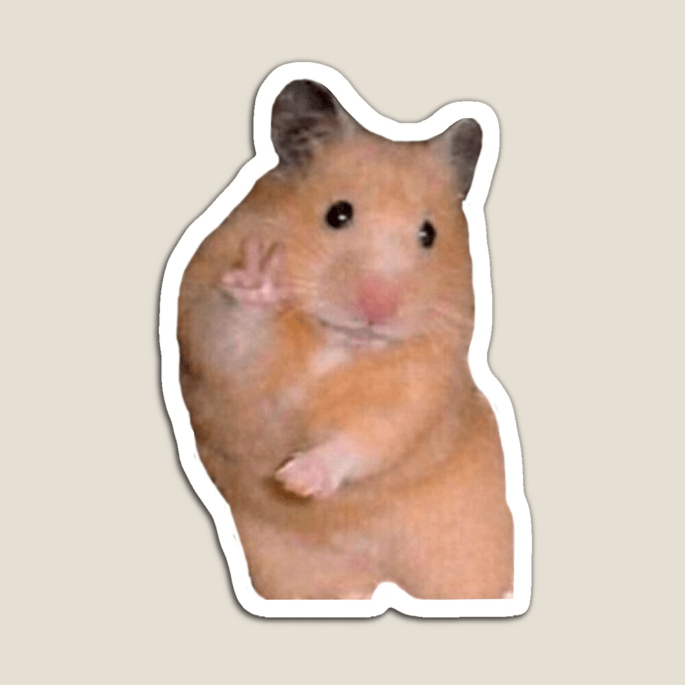 Hamster Meme Wallpapers - Top Free Hamster Meme Backgrounds ...