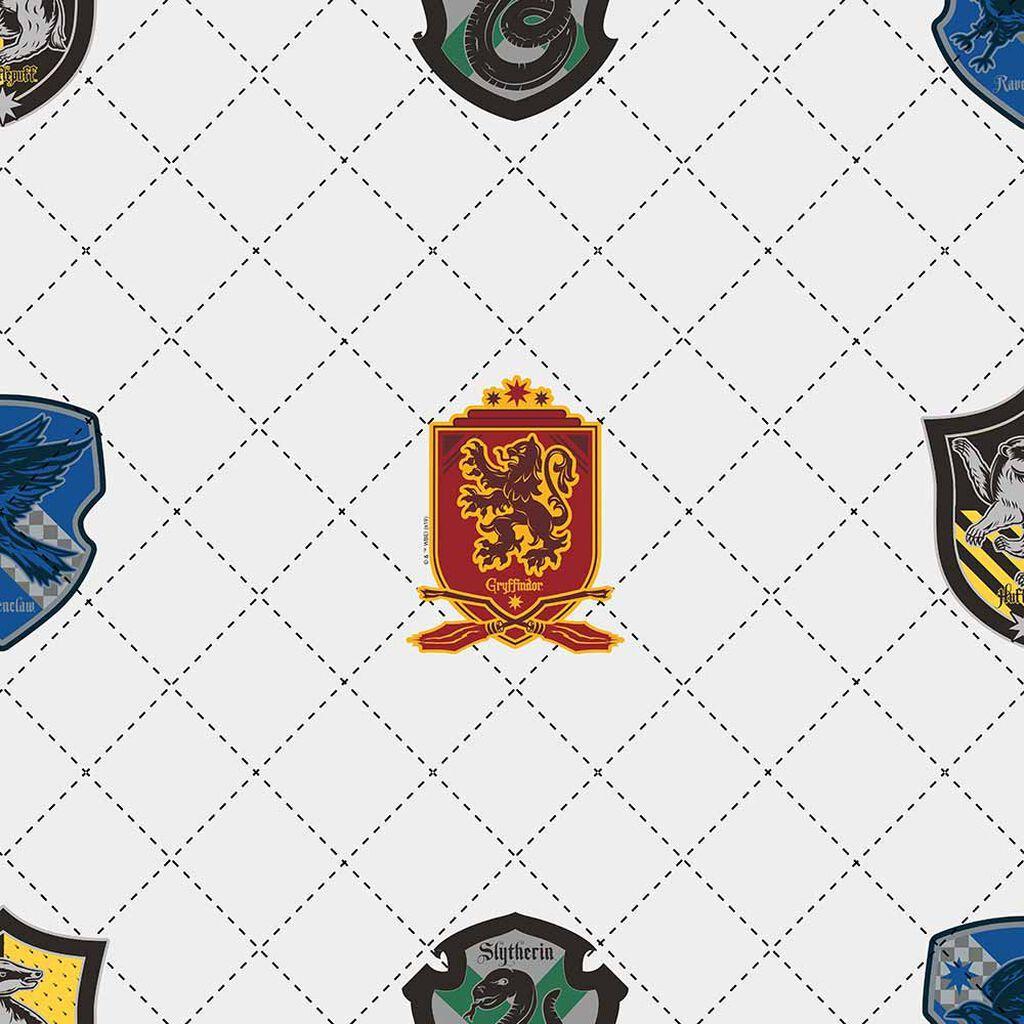 1024x1024 House Pride Harry Potter Wallpaper