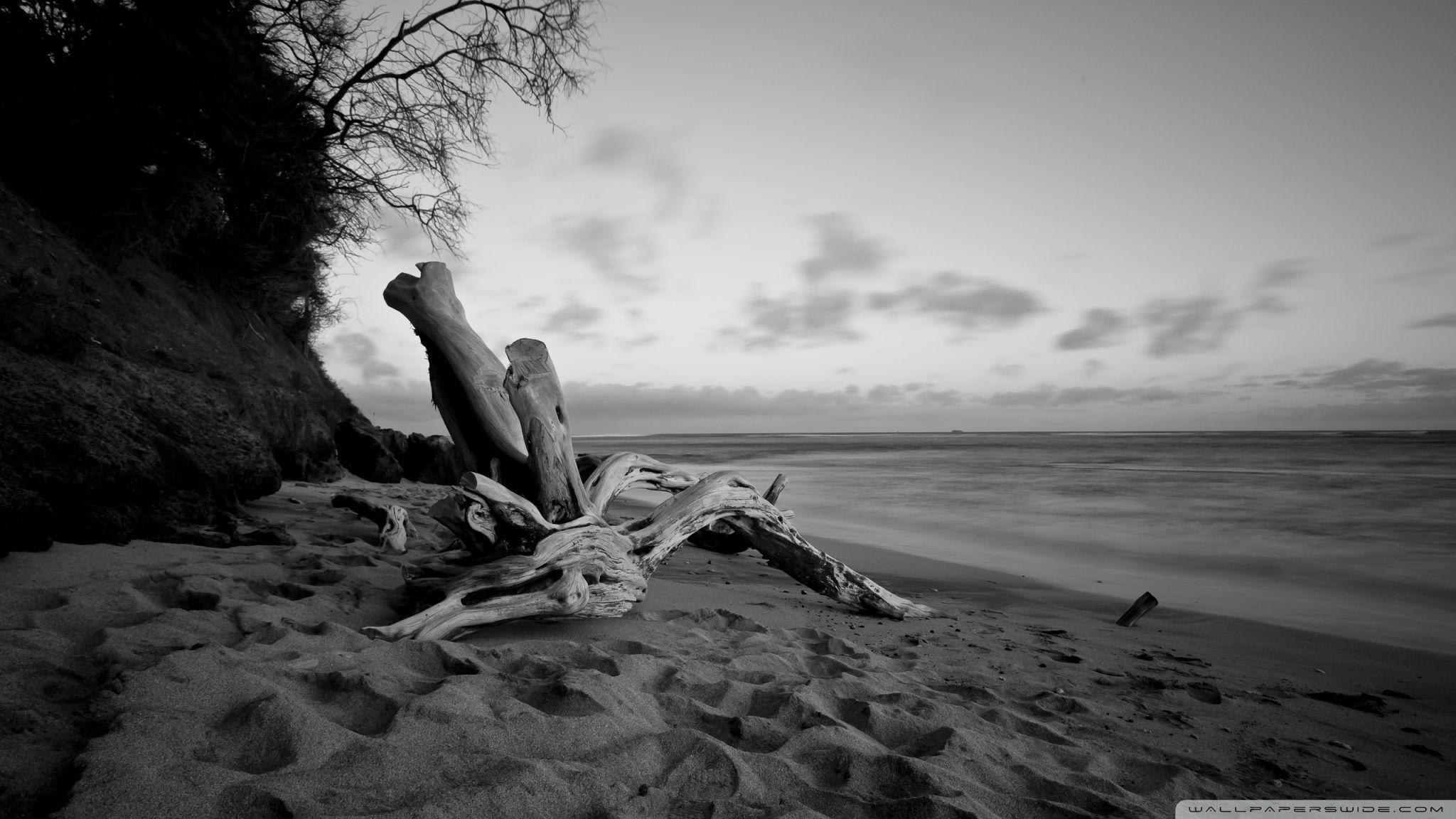 2048x1152 Beach In Black And White Ultra HD Desktop Background Wallpaper for 4K UHD TV : Multi Display, Dual Monitor : Tablet