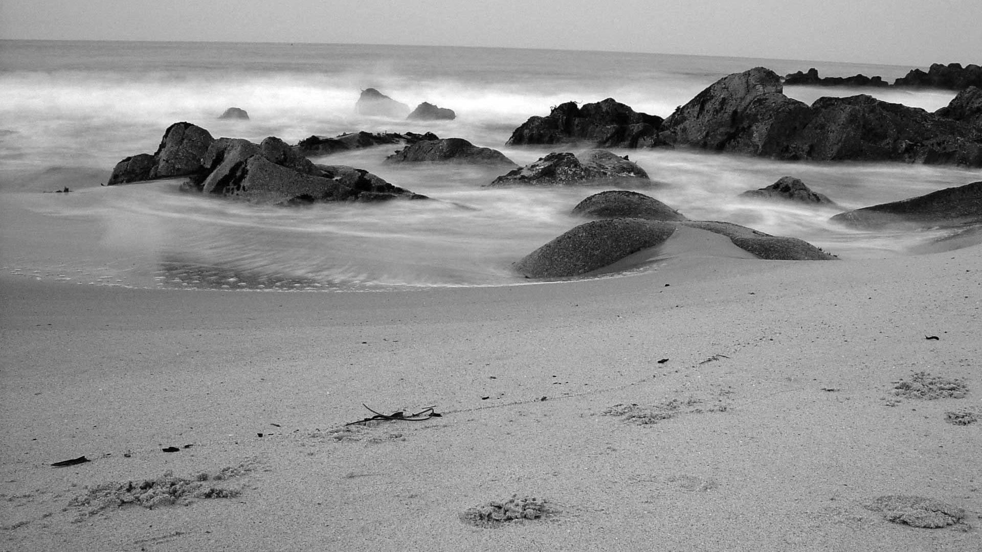 1920x1080 Black And White Beach 12755 wallpaper in 1920x1080 resolution