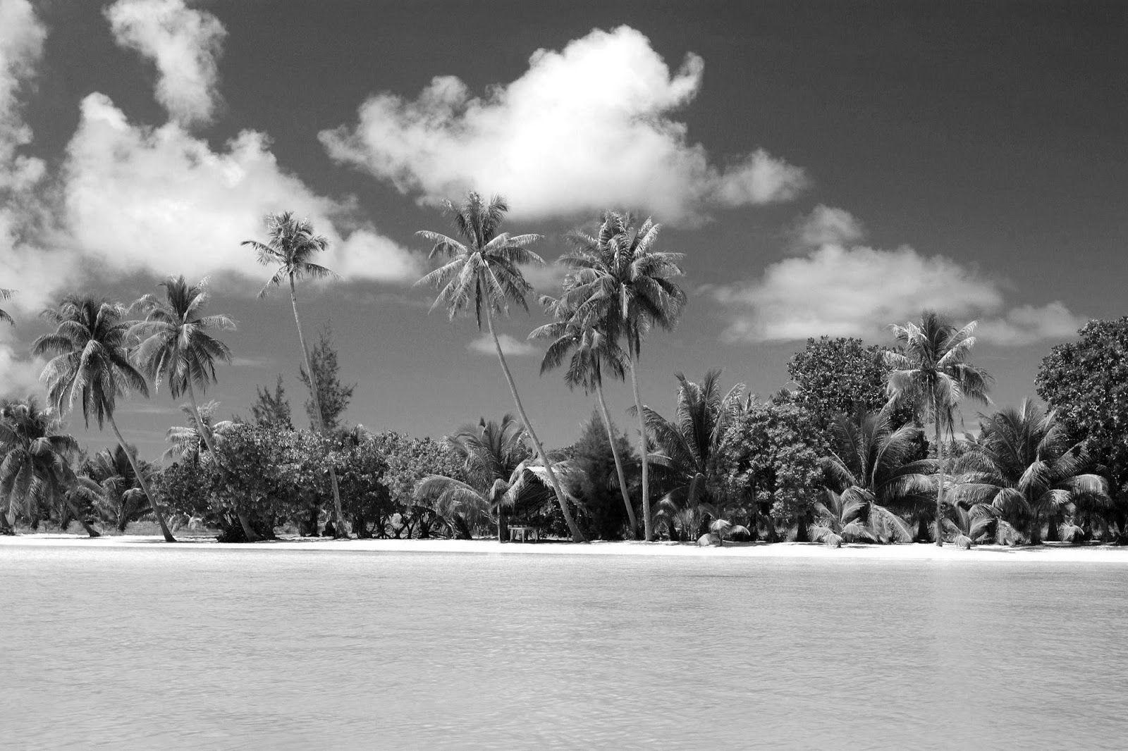 1600x1066 Black and White Wallpaper: Black and White Beach Landscape HD Wallpaper Pack