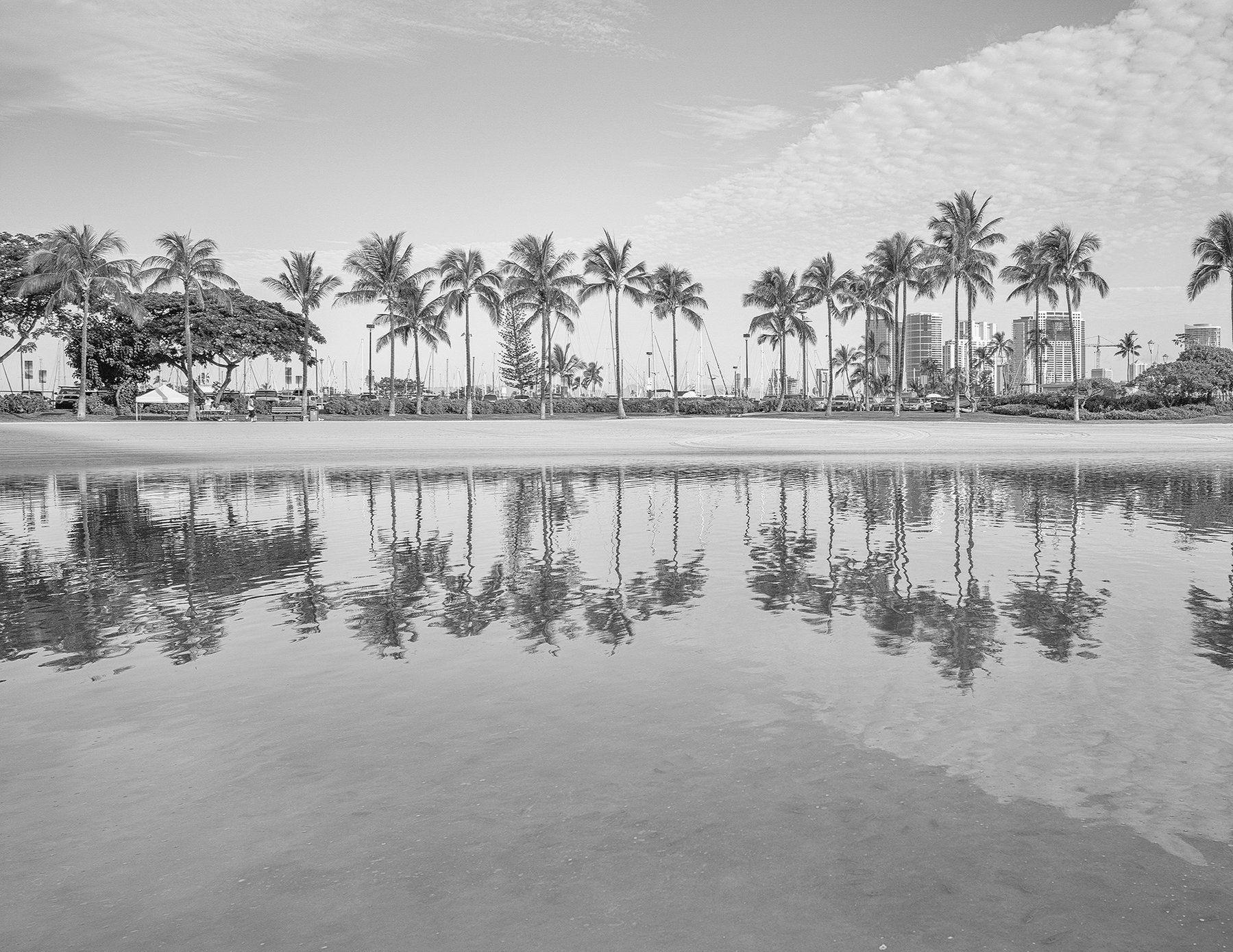 1799x1390 Beach & Palm Wallpaper : Bring the summer vibes through wall art
