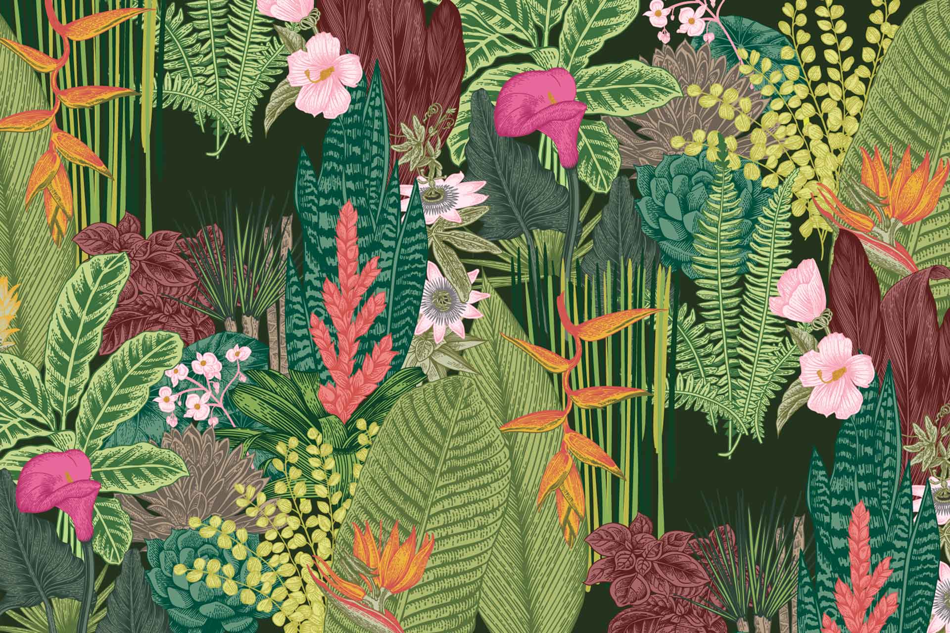 Garden of Eden Wallpapers - Top Free Garden of Eden Backgrounds ...
