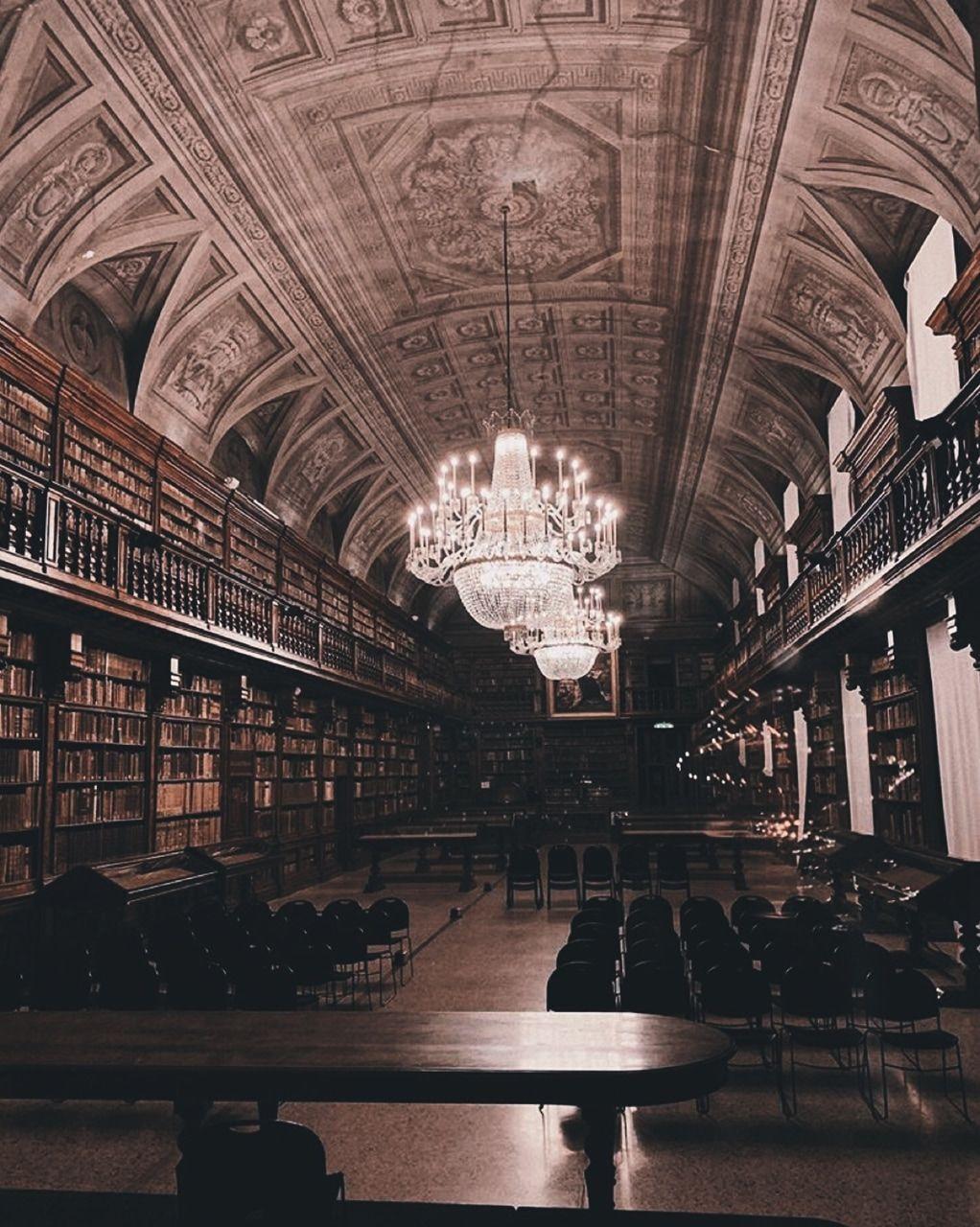 1022x1280 vibe, chandelier, beige and books
