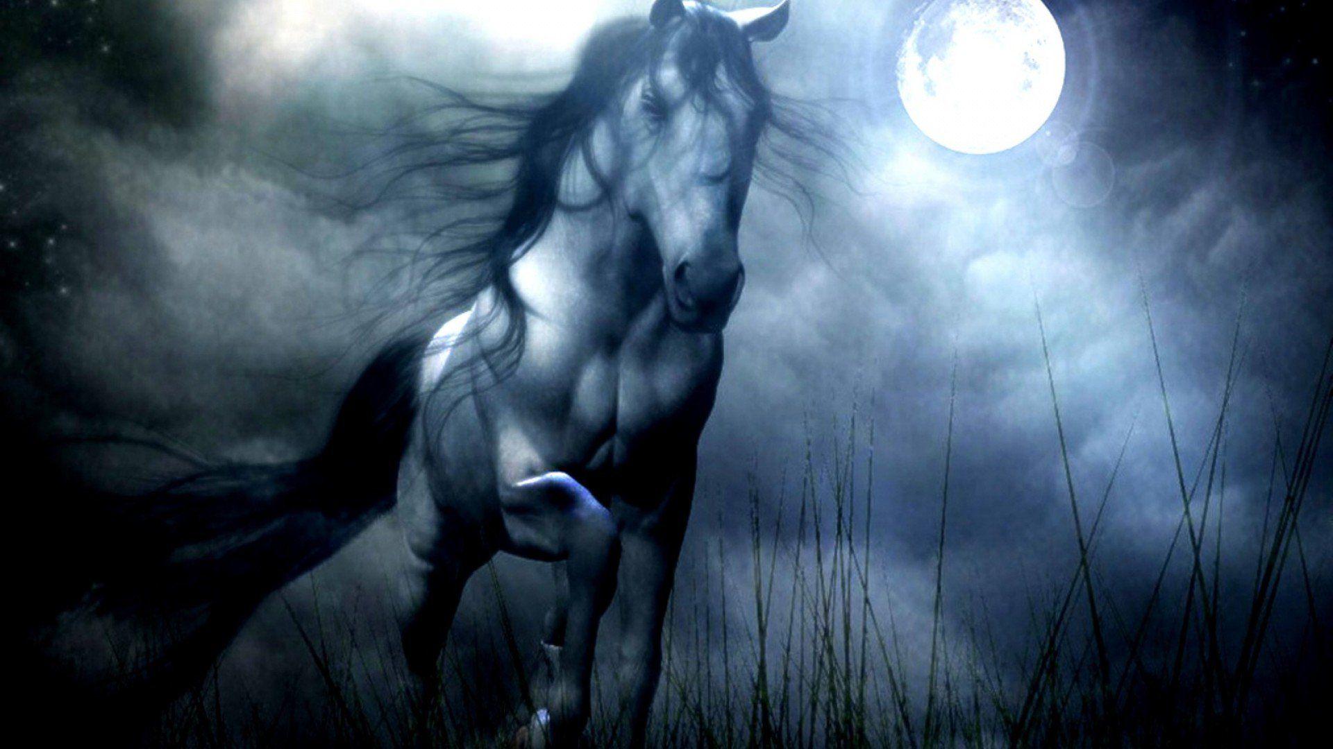 1920x1080 HORSE dark animals wallpaperx1080