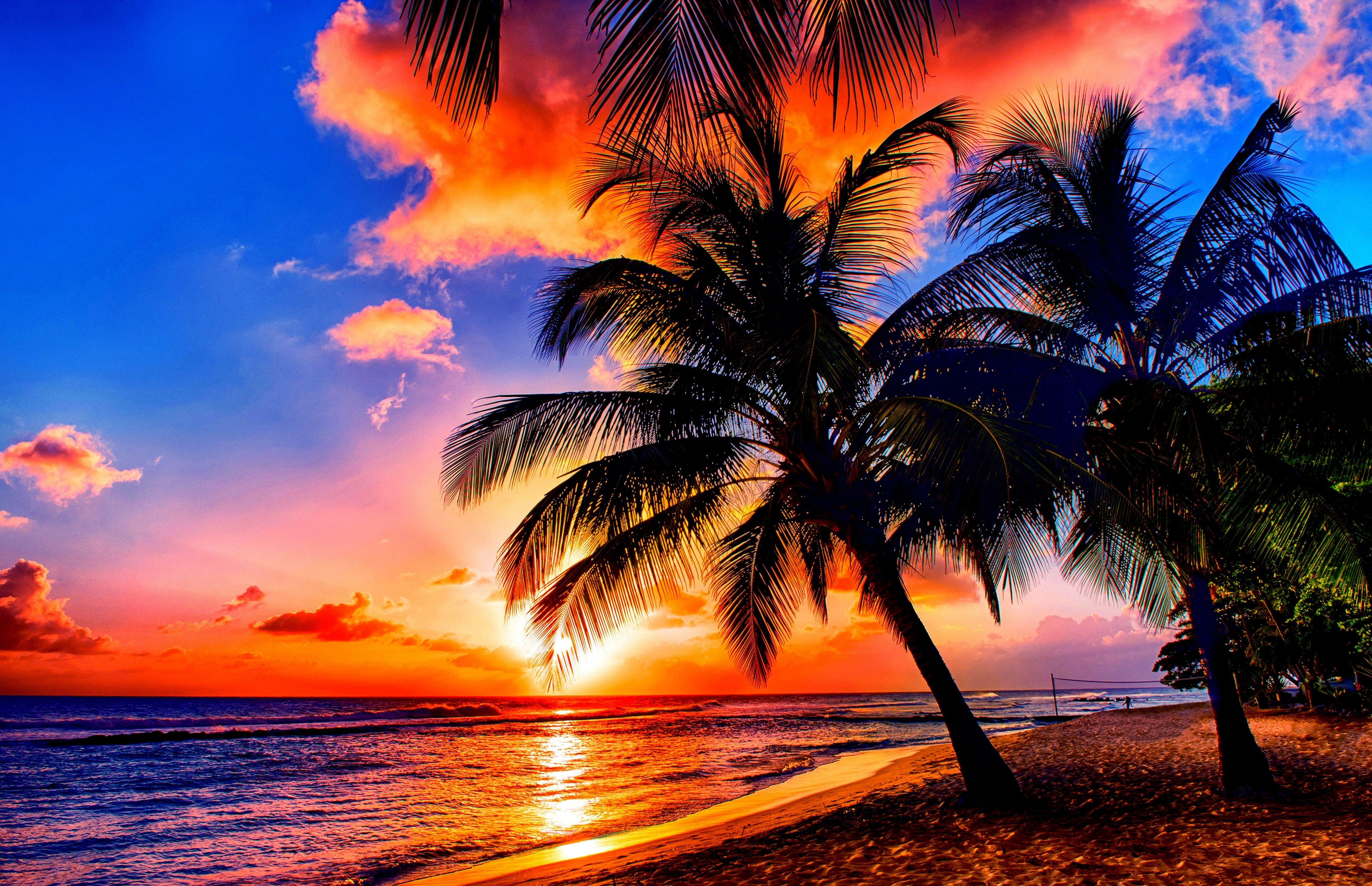 5000x3230 Beaches: Clear Water Beach Nature Sy Free Desktop Background