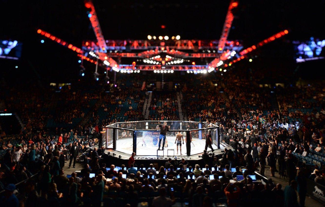Khabib Vs Conor McGregor UFC 229 2018 Sony Xperia  iPhone X Wallpapers  Free Download