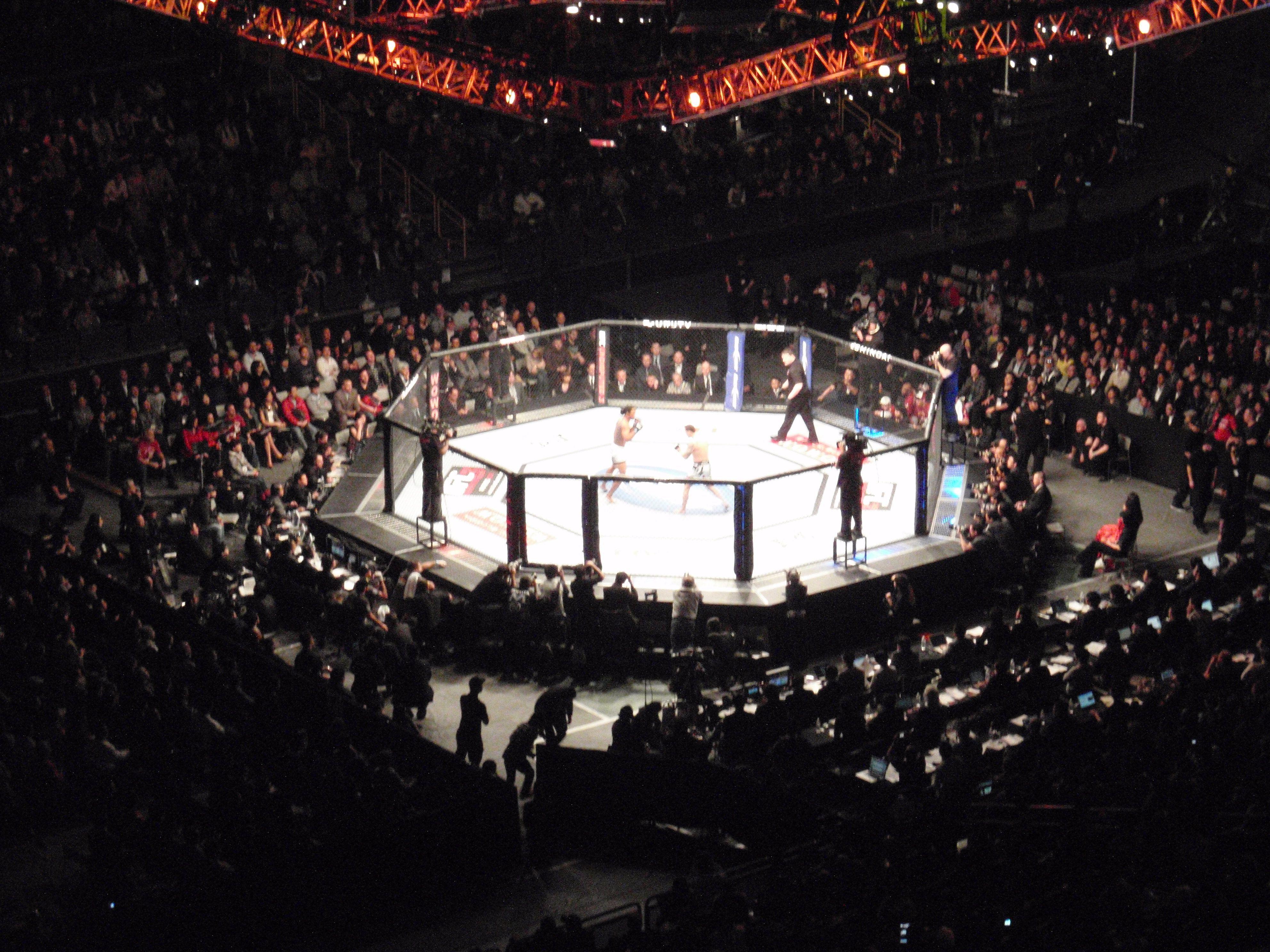 UFC Cage Wallpapers - Top Free UFC Cage Backgrounds - WallpaperAccess