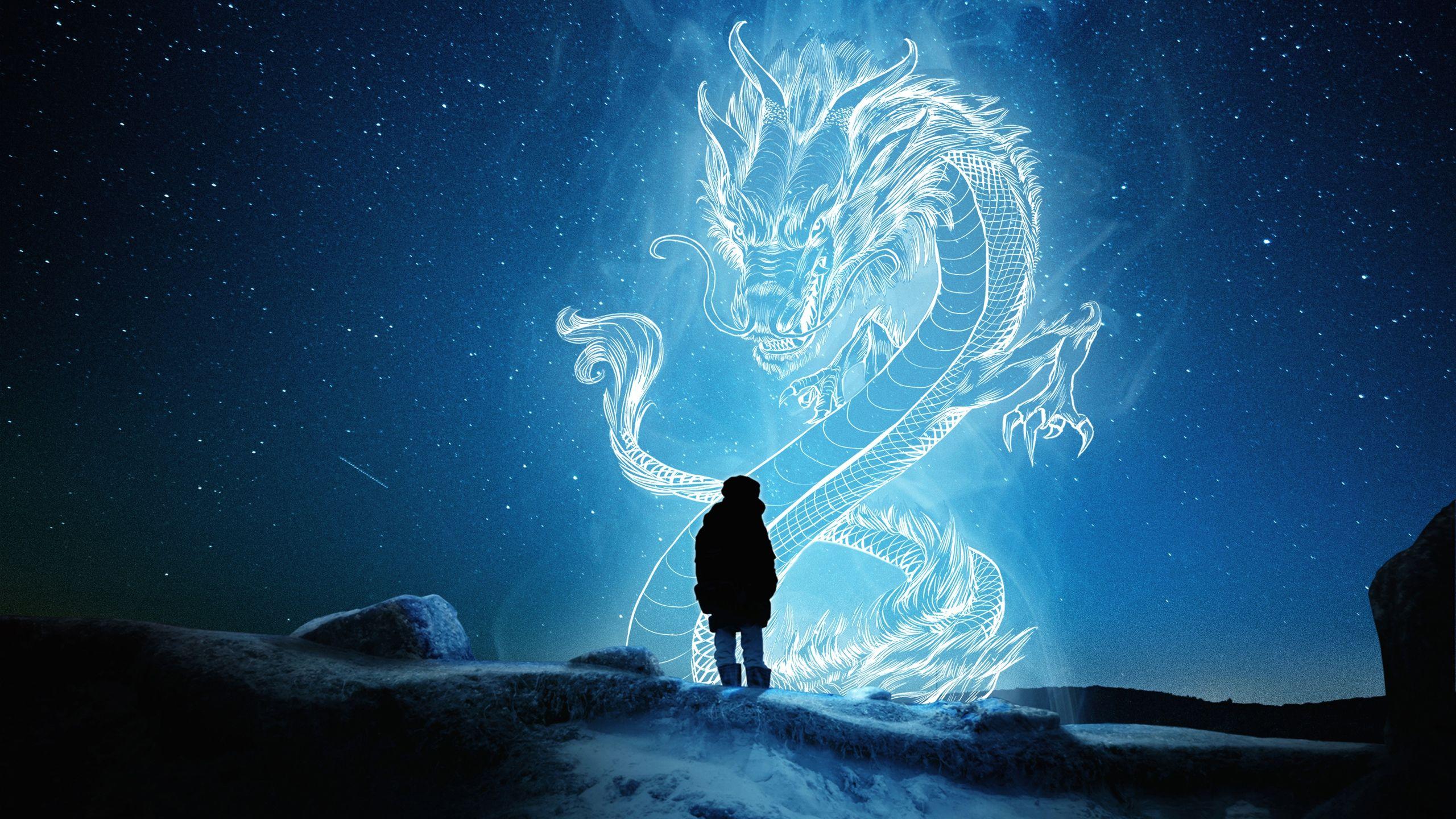 2560x1440 Star Dragon Patterns Wallpaper .