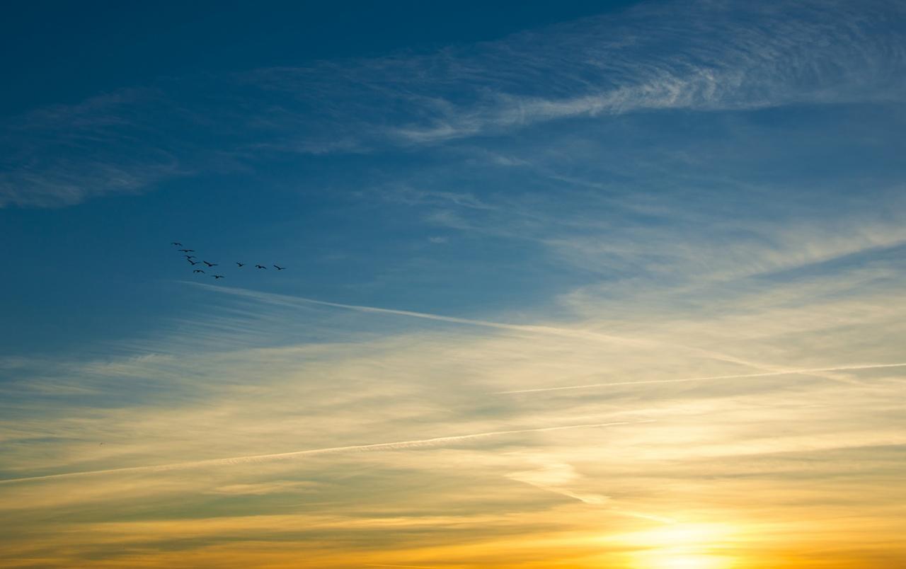1280x804 Golden Sky Wallpaper