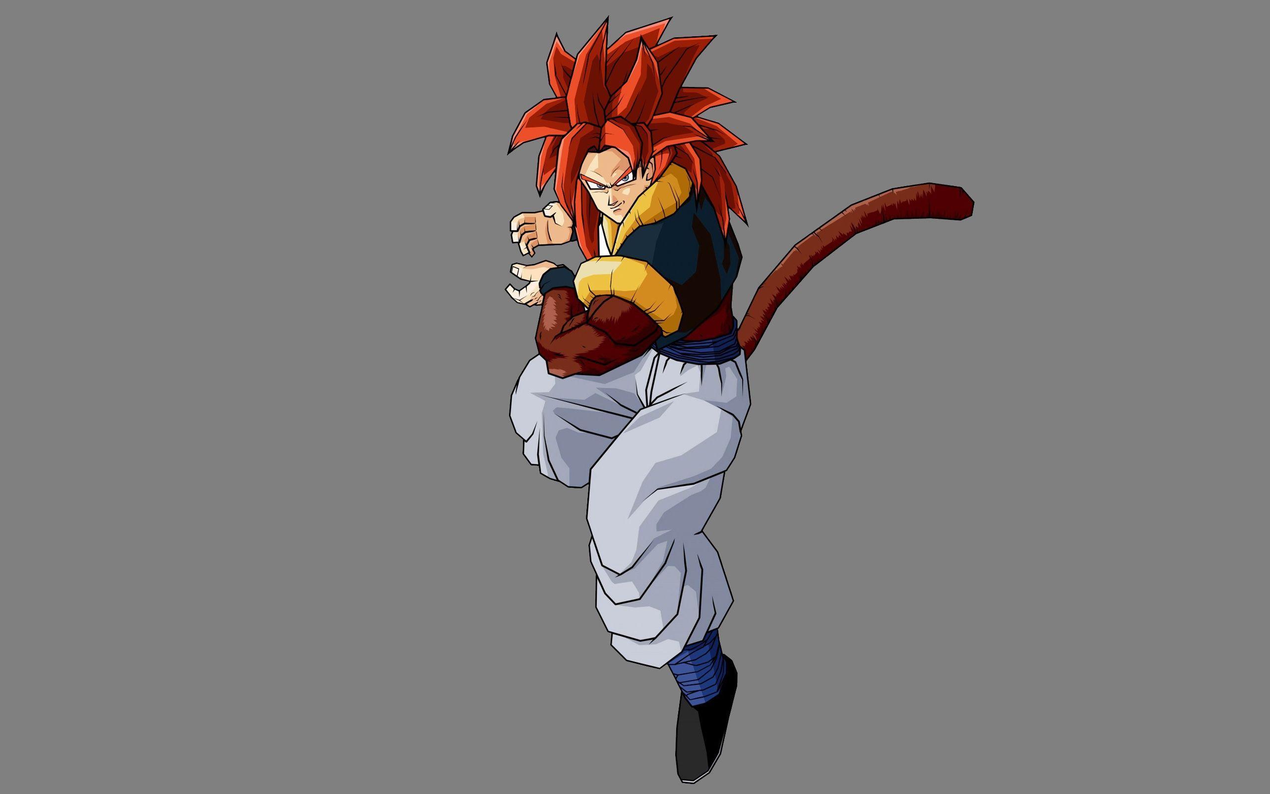 2560x1600 tails dragon ball z gogeta 2560x1600 wallpaper
