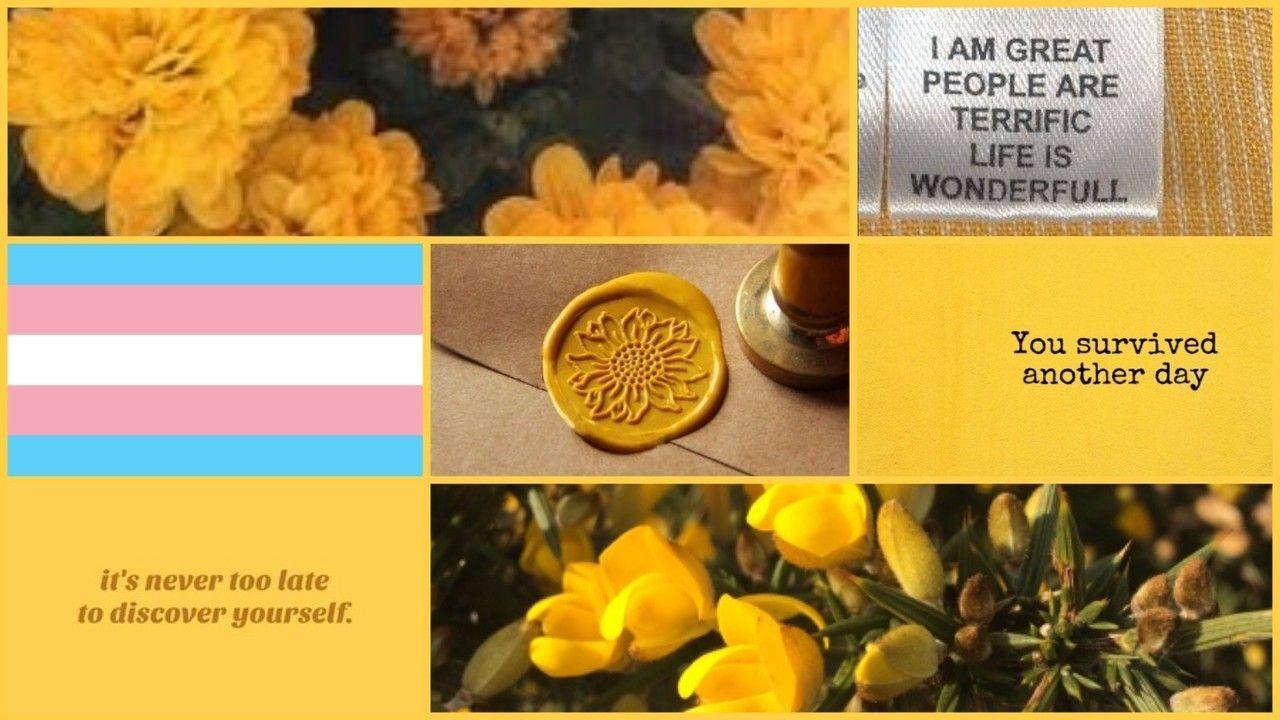1280x720 Hufflepuff Collage Desktop Wallpaper