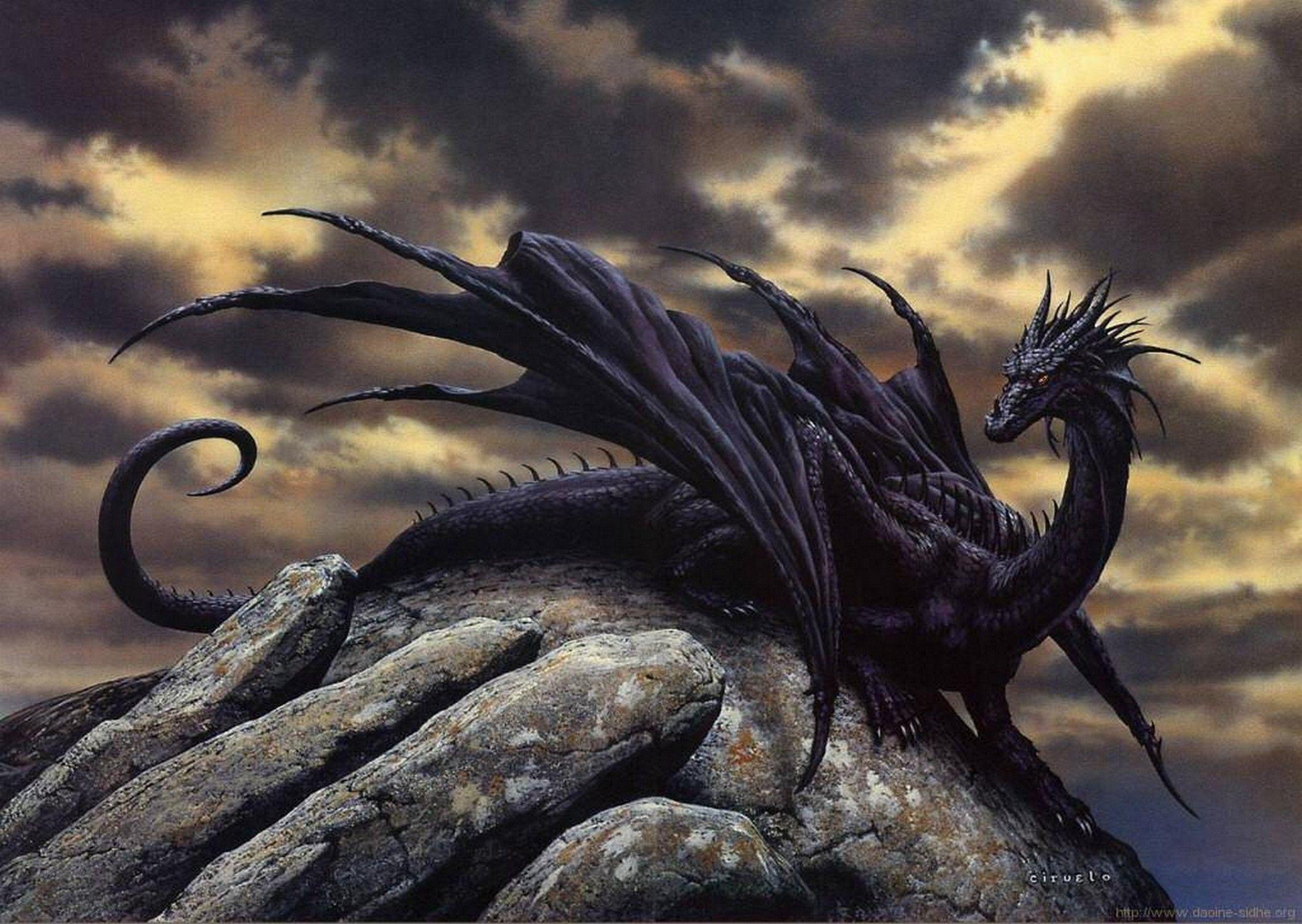 Cool Dark Dragon Wallpapers Top Free Cool Dark Dragon Backgrounds