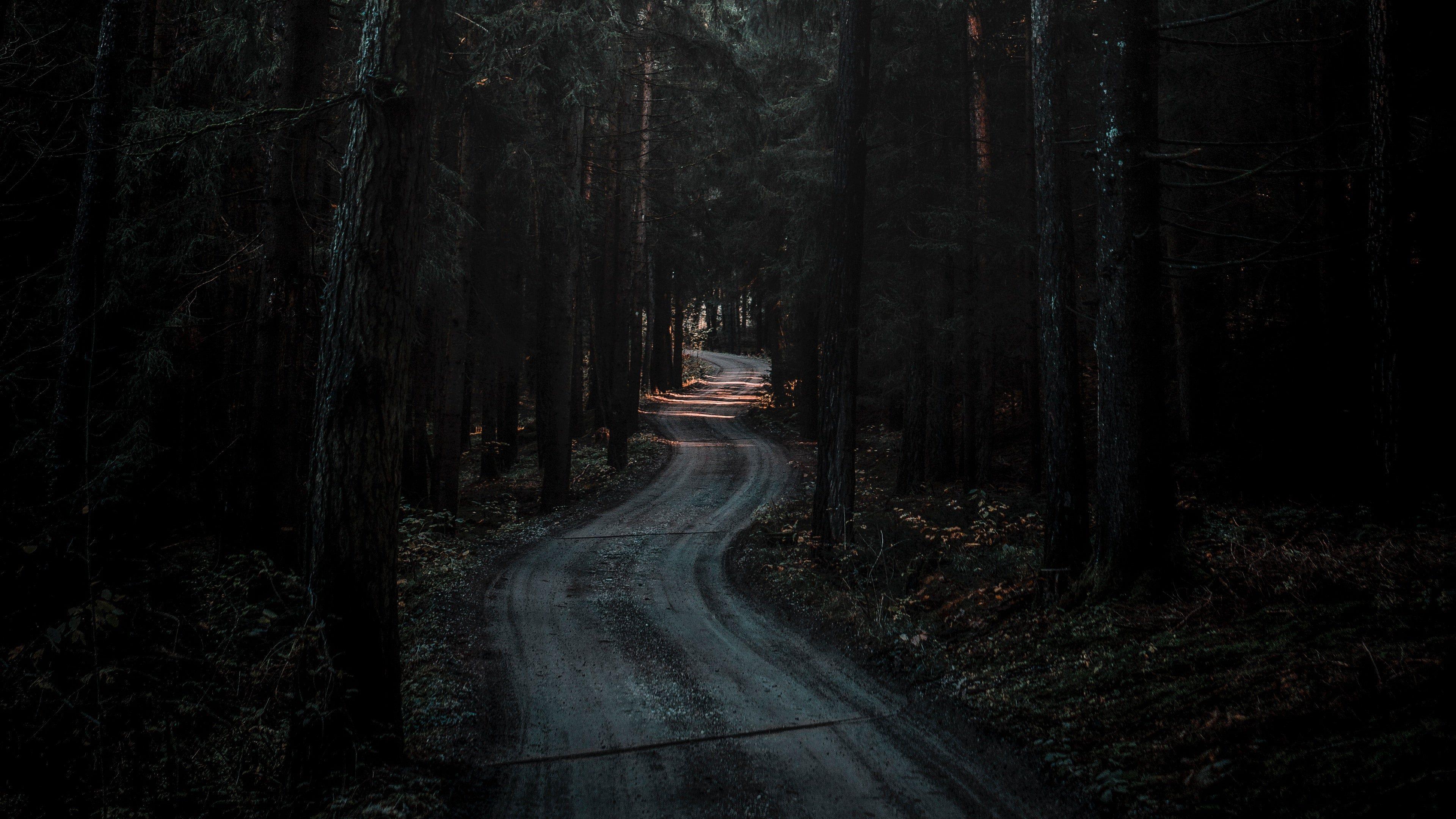 Dark Forest Road Wallpapers - Top Free Dark Forest Road Backgrounds