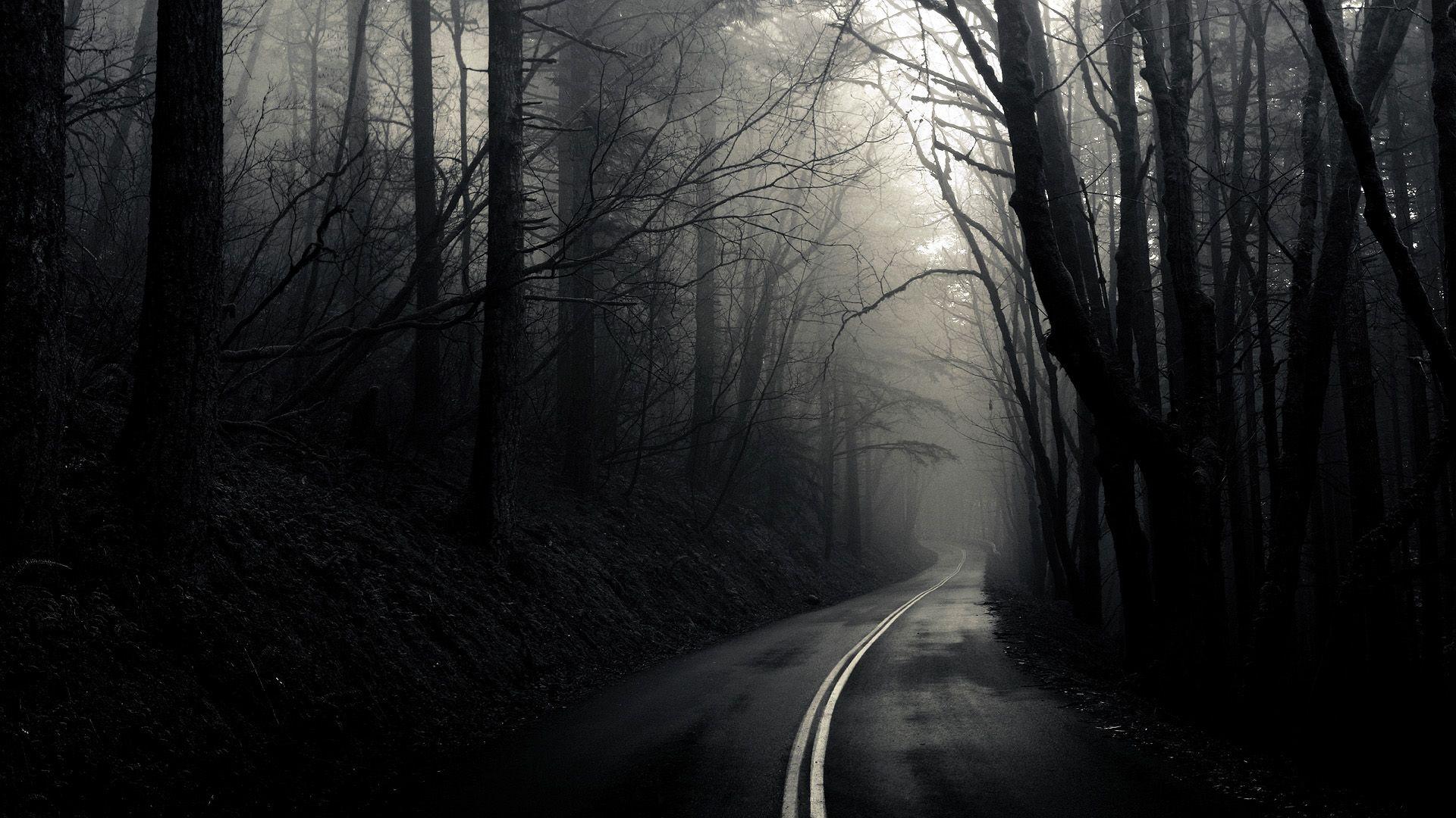 Dark Forest Road Wallpapers - Top Free Dark Forest Road Backgrounds ...