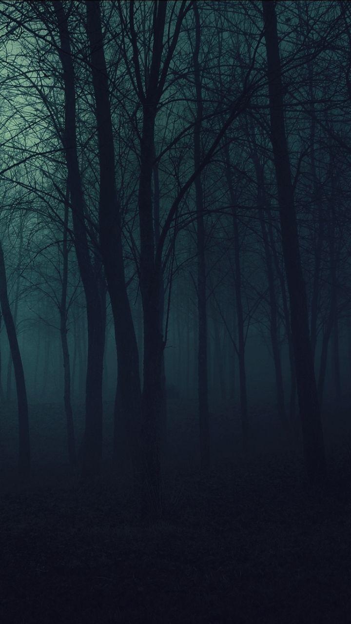 720x1280 Dark Forest 4k Mobile Wallpaper
